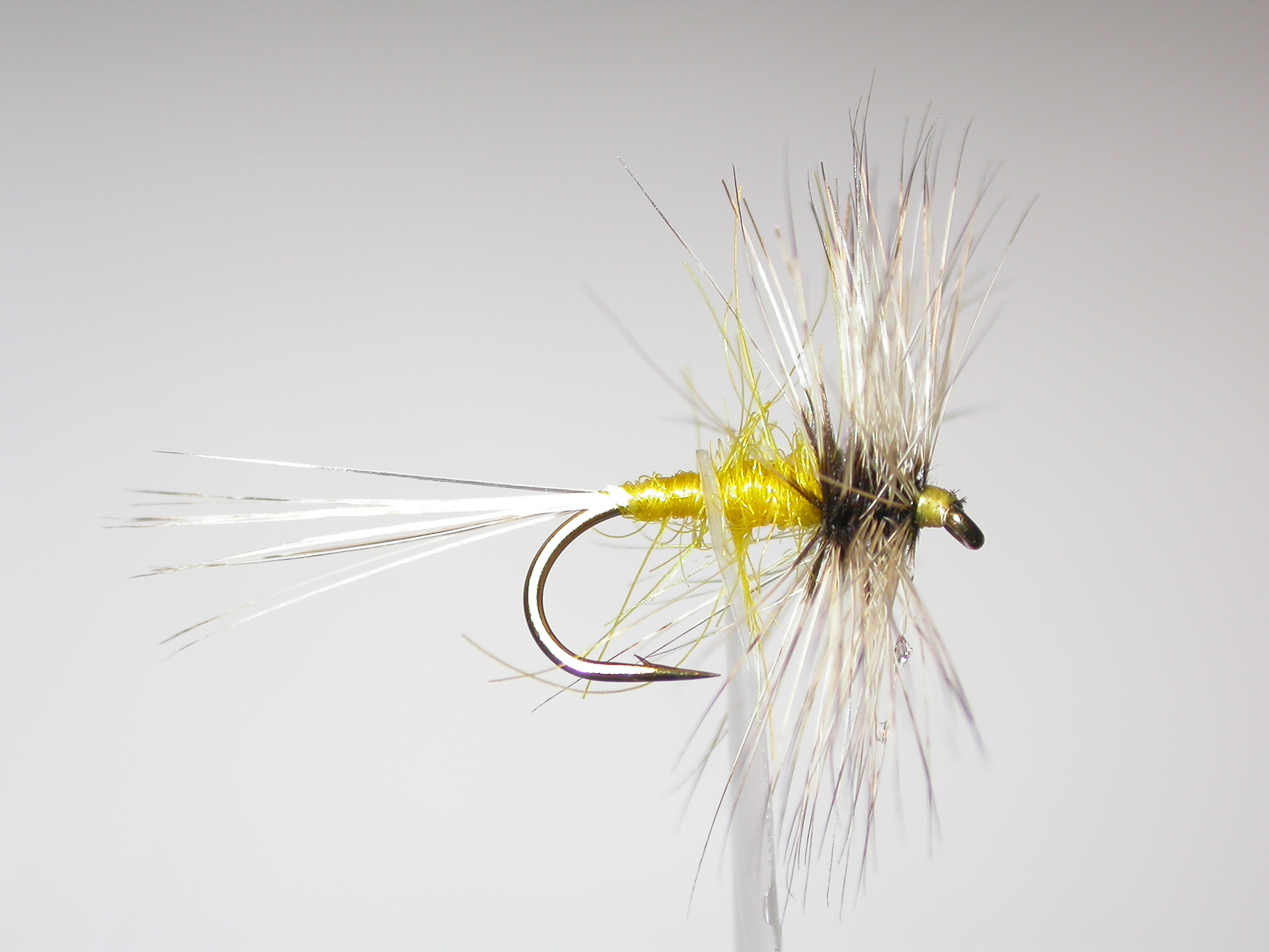 Badger and Yellow