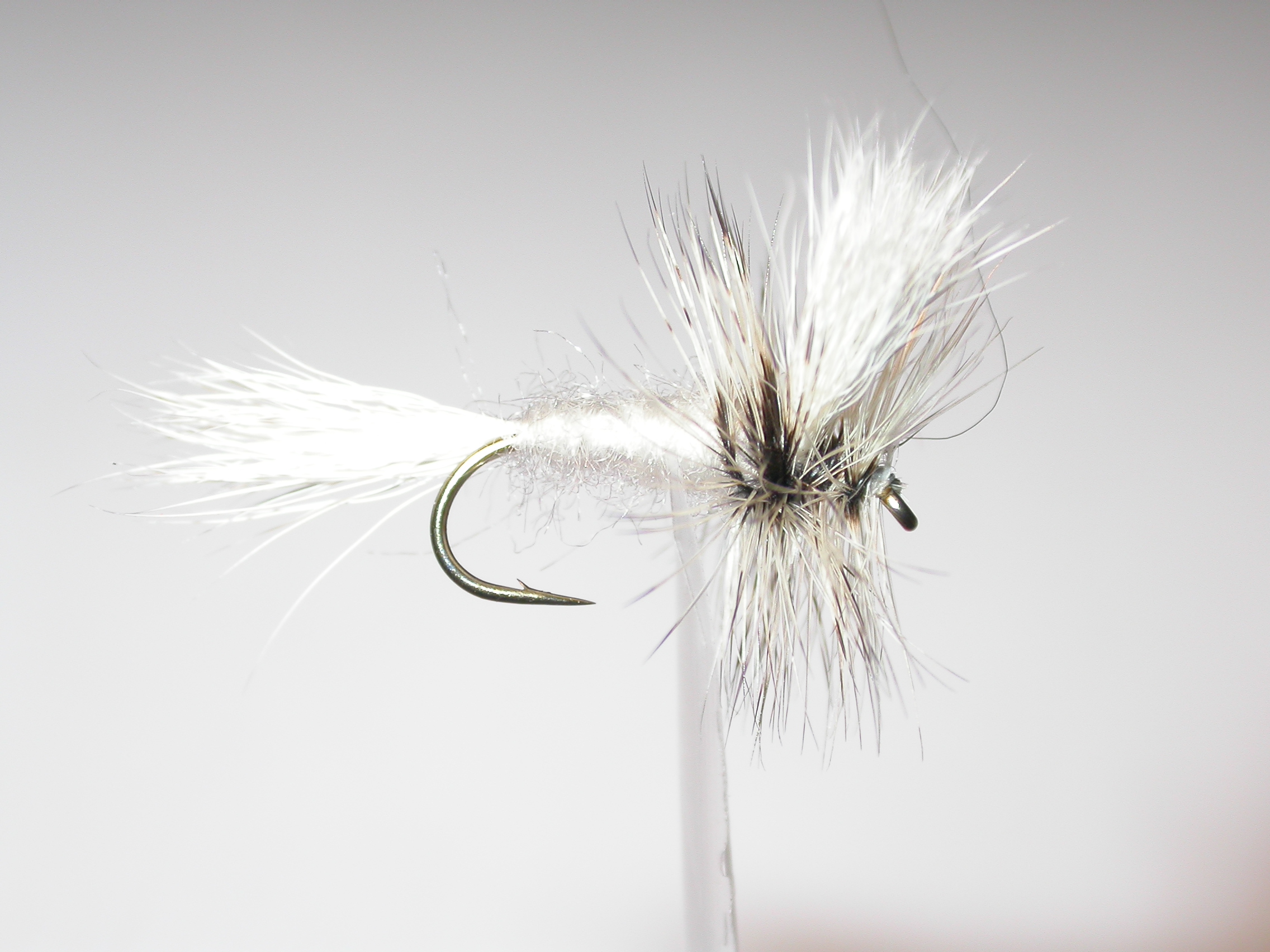 English White Wulff