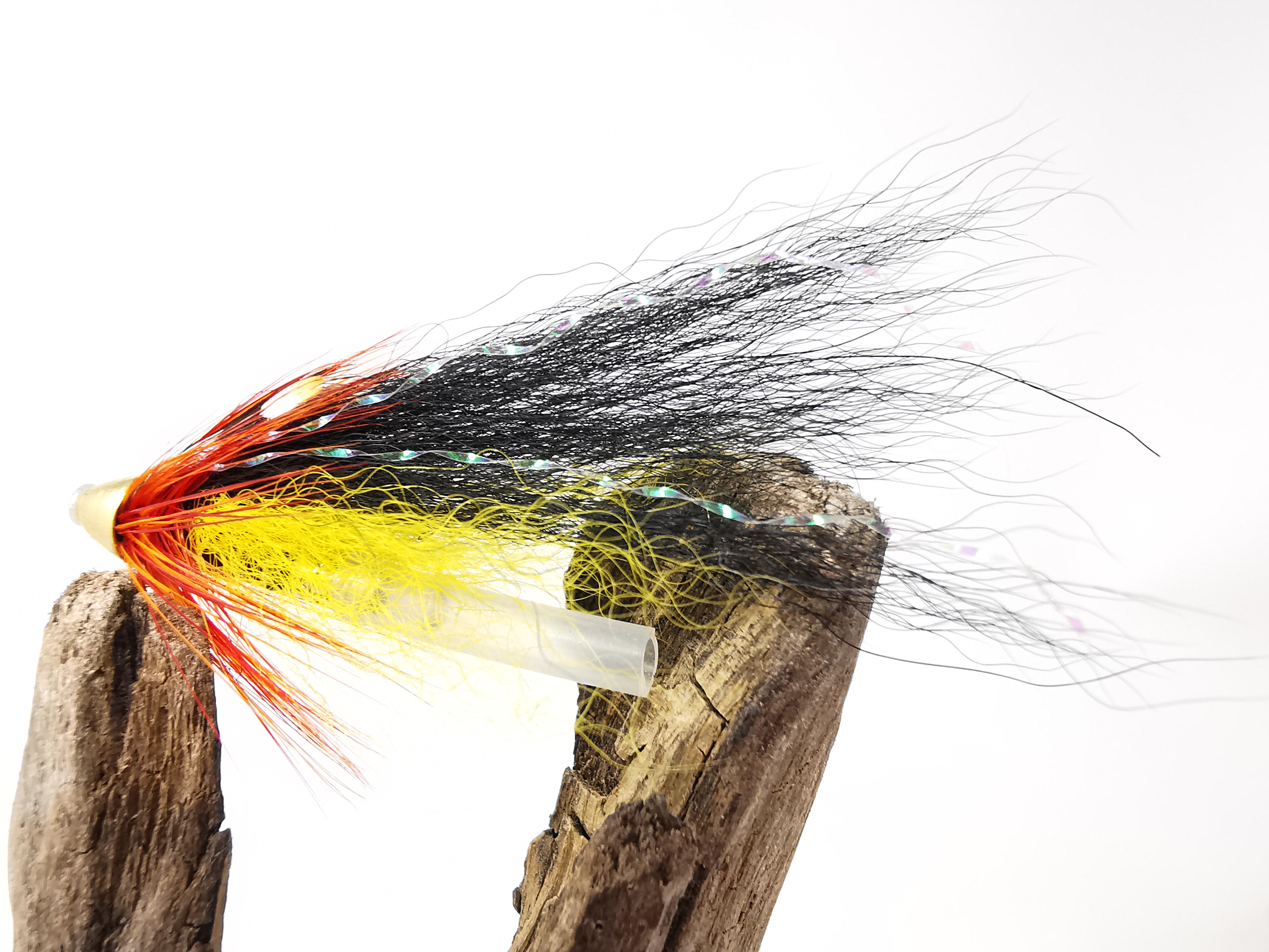 Cascade Dog JC