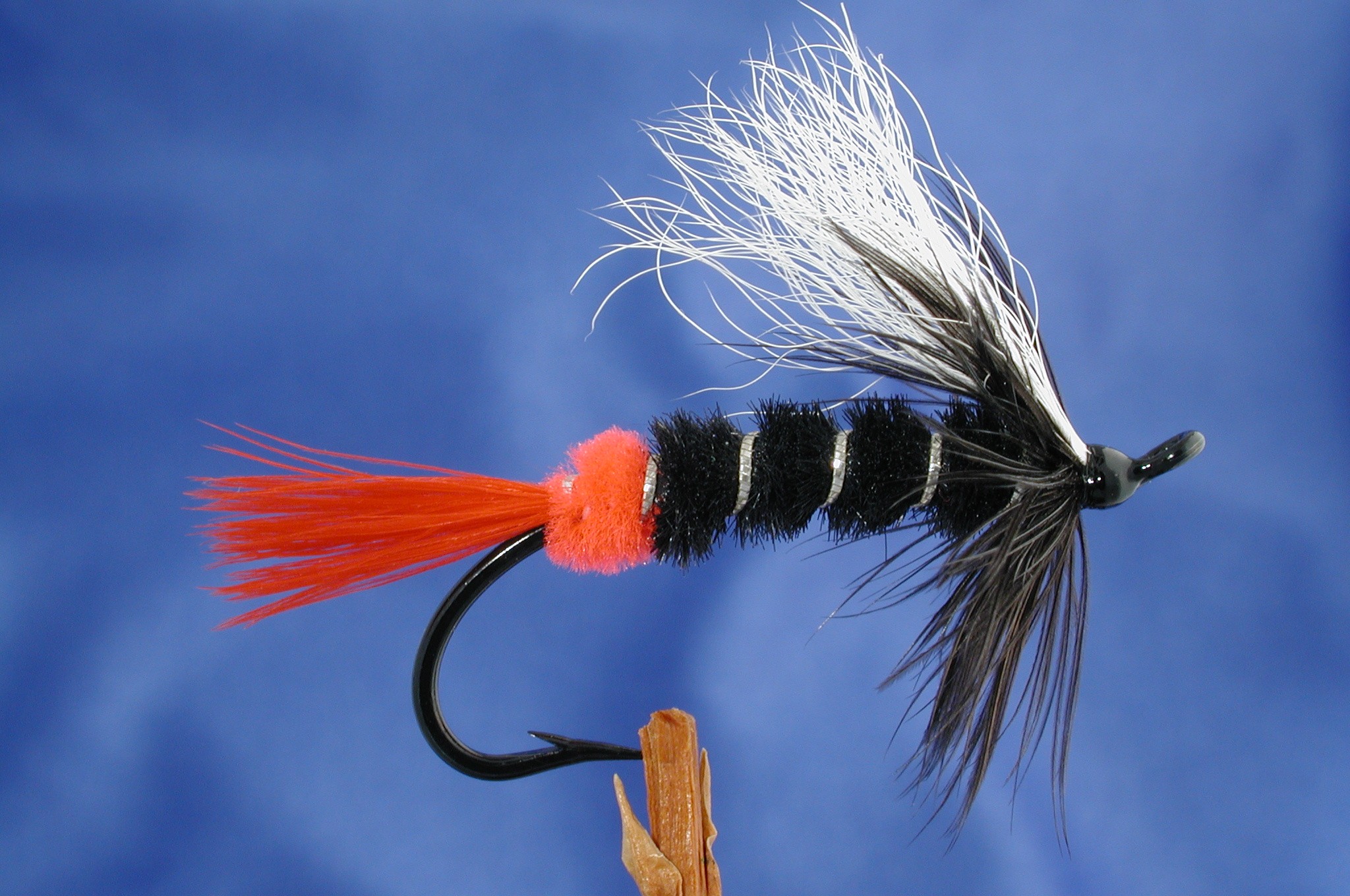 Red Butt Skunk