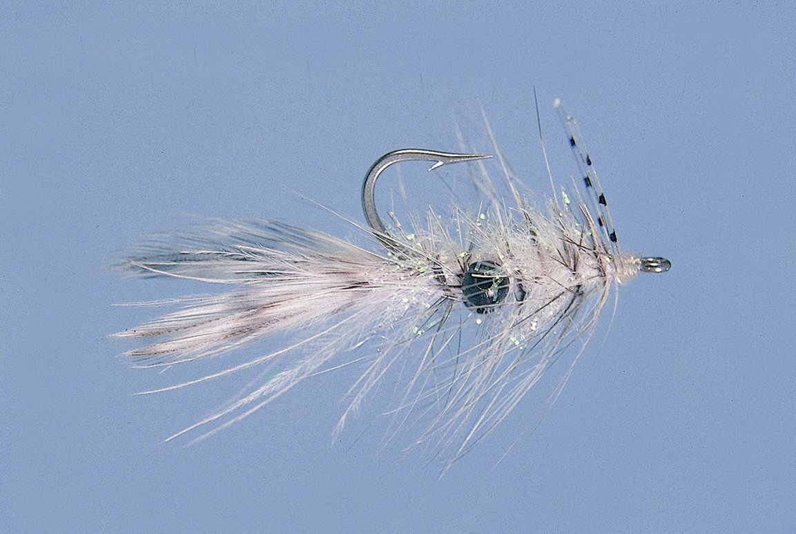 Alf Shrimp Pearl