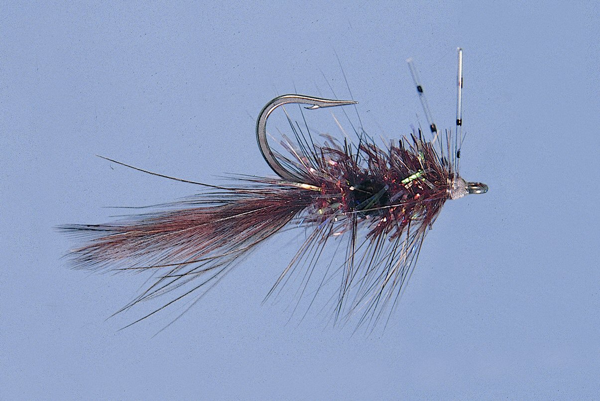 Alf Shrimp Rootbeer