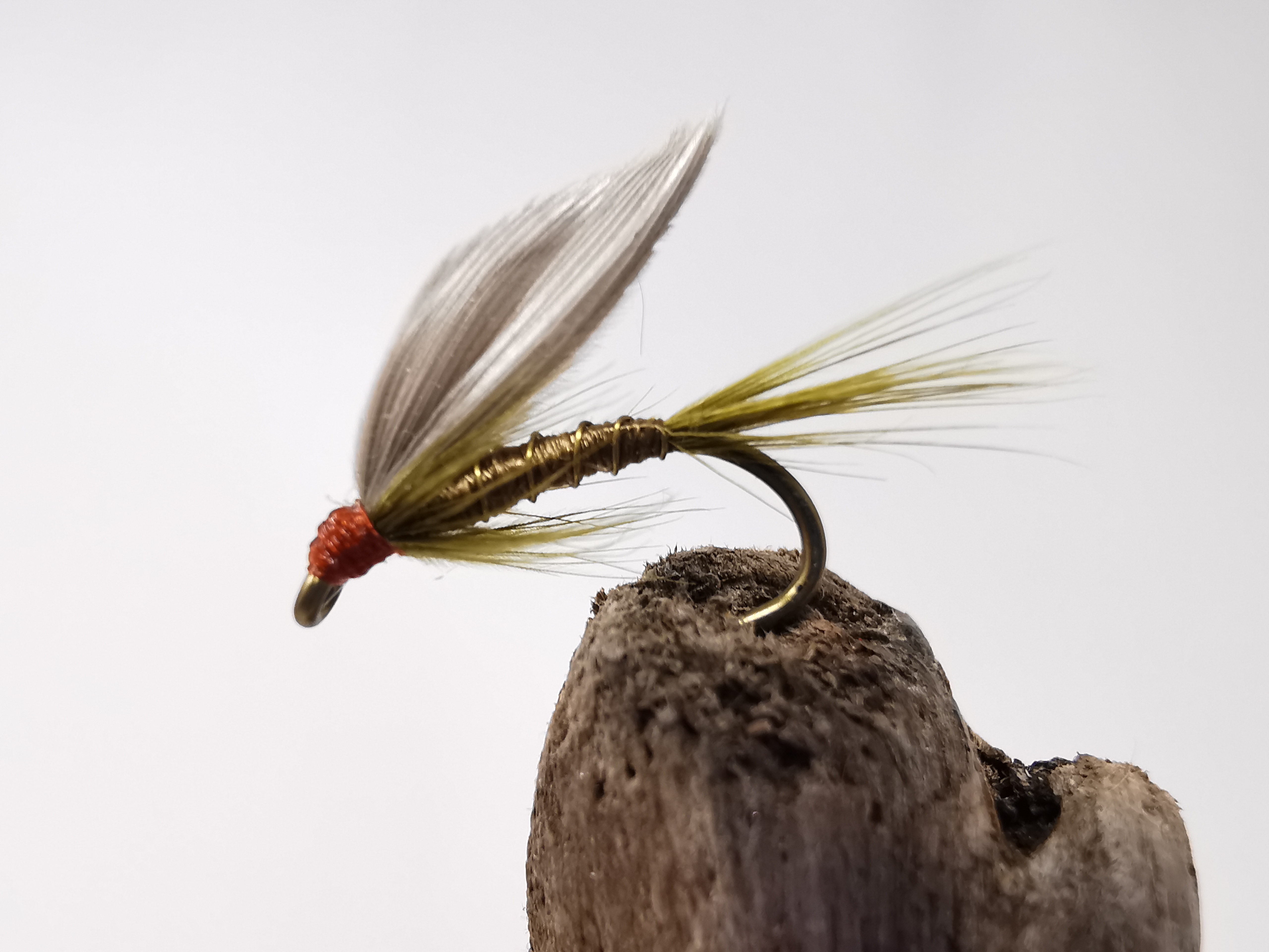 Olive Dun Wet