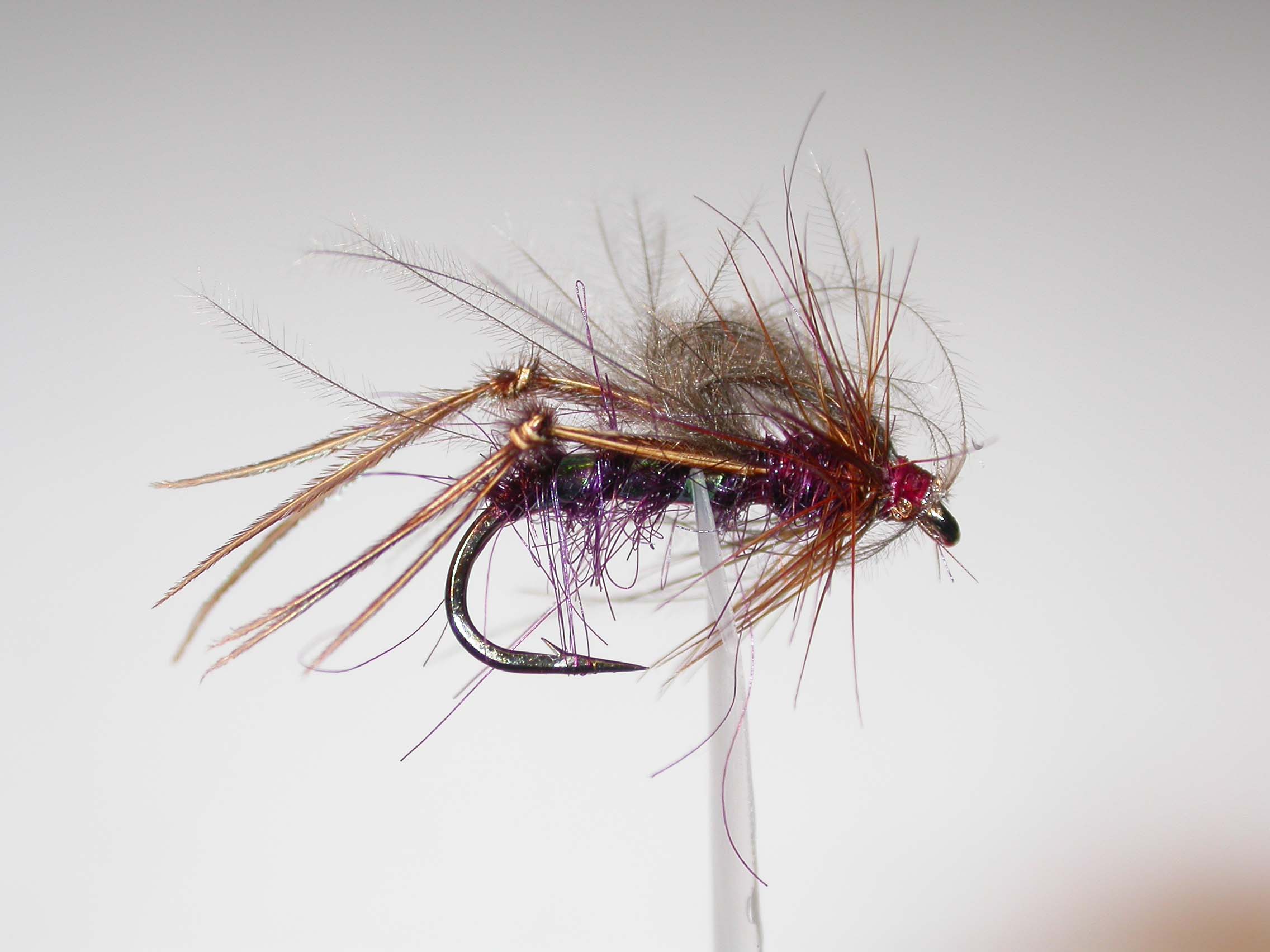 CDC Hopper Claret