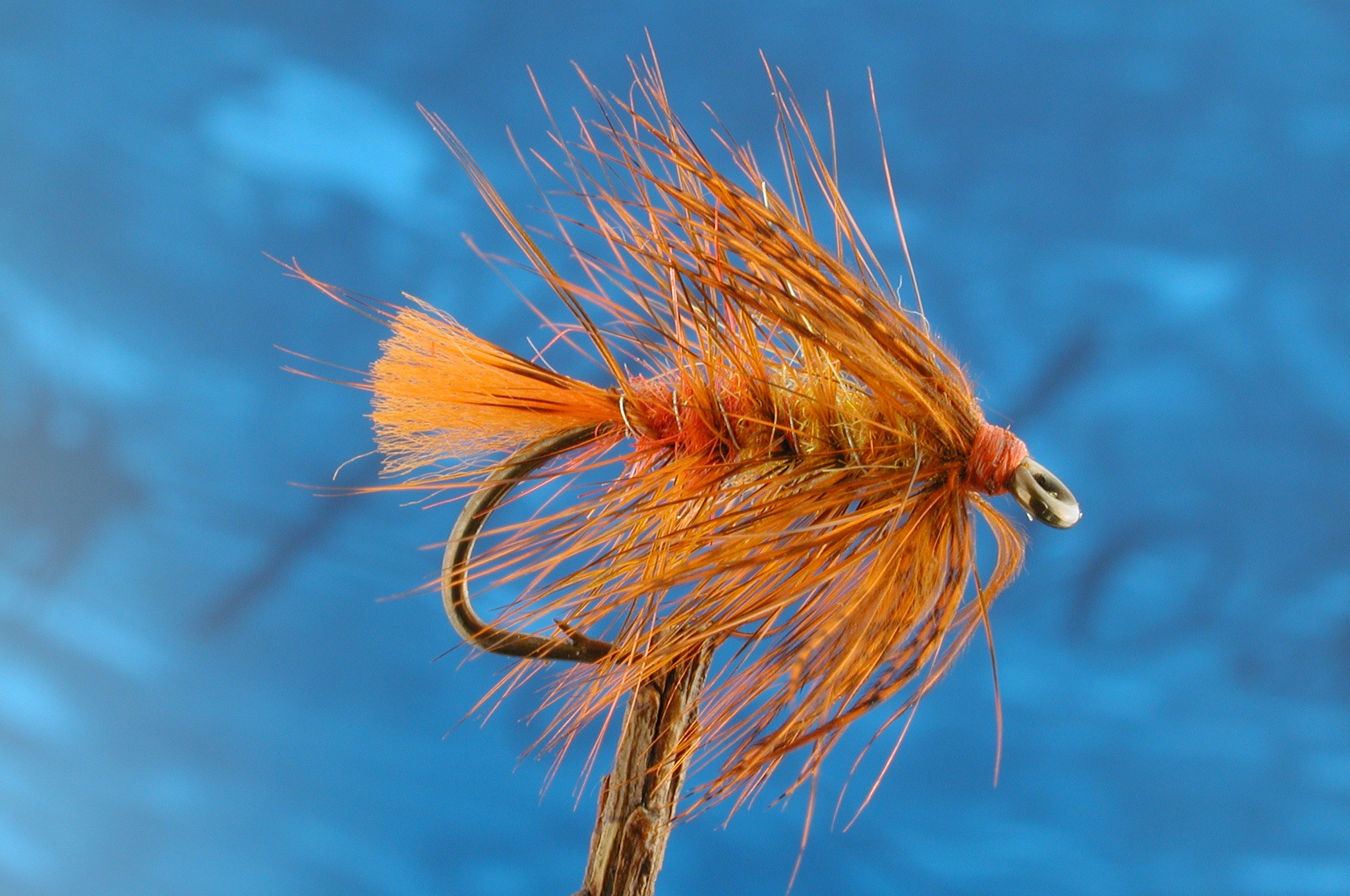 Hot Orange Bumble