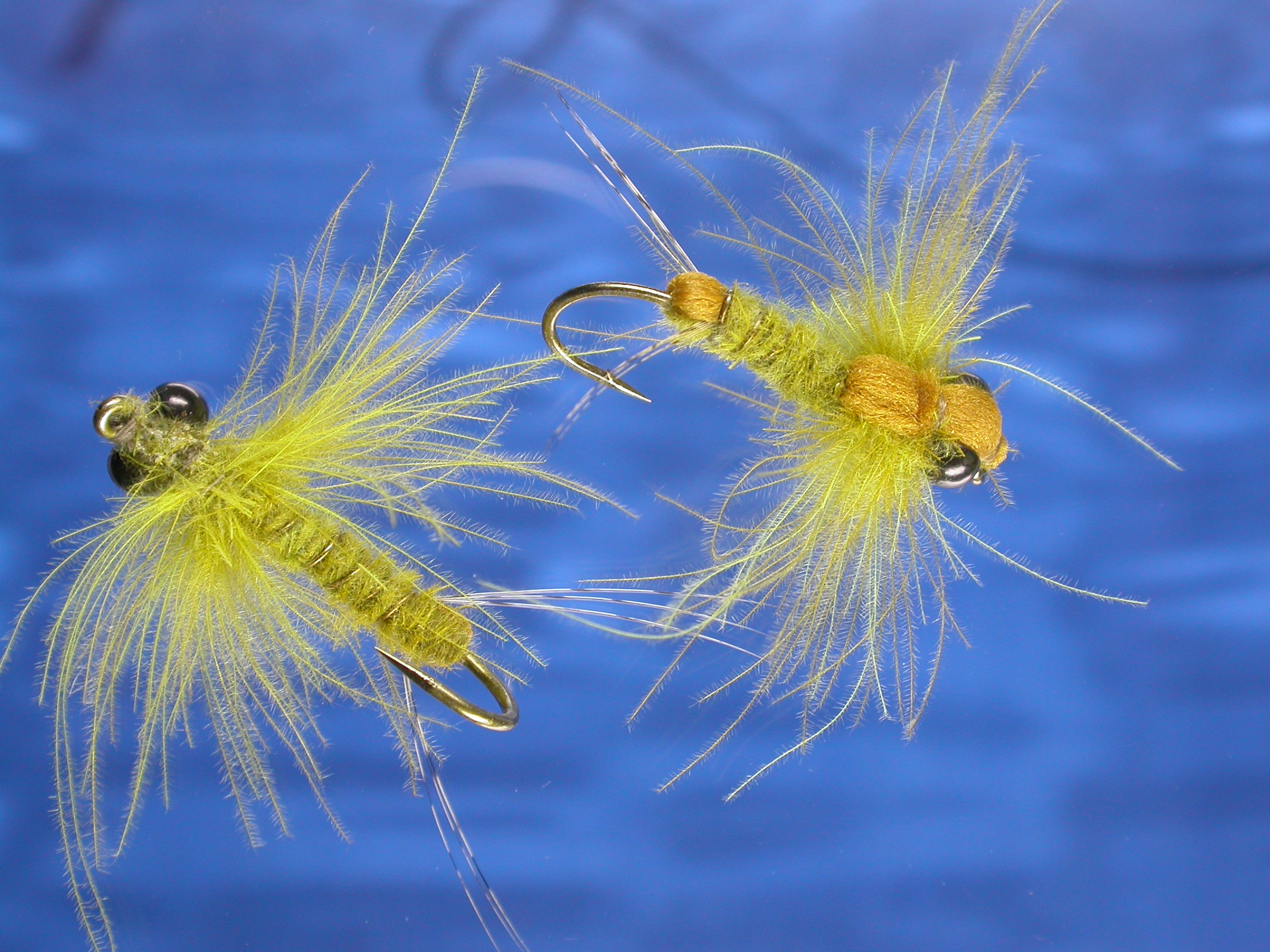 Golden CDC Stonefly