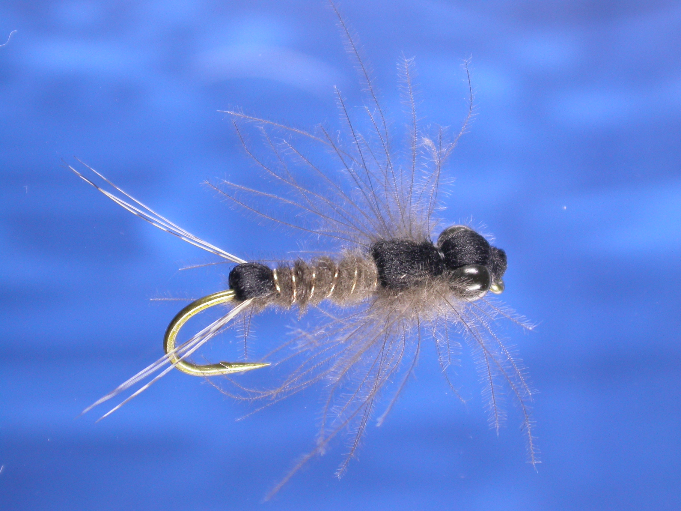 Brown Stonefly Nymph