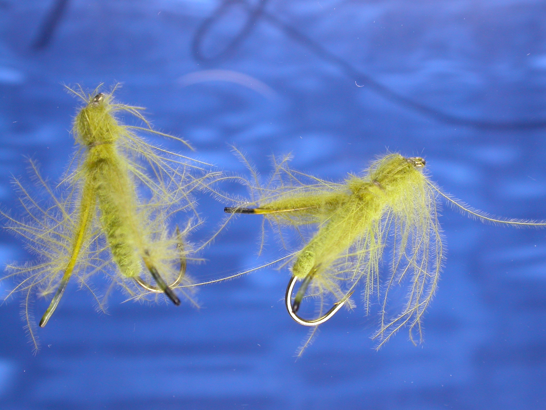Grasshopper CDC
