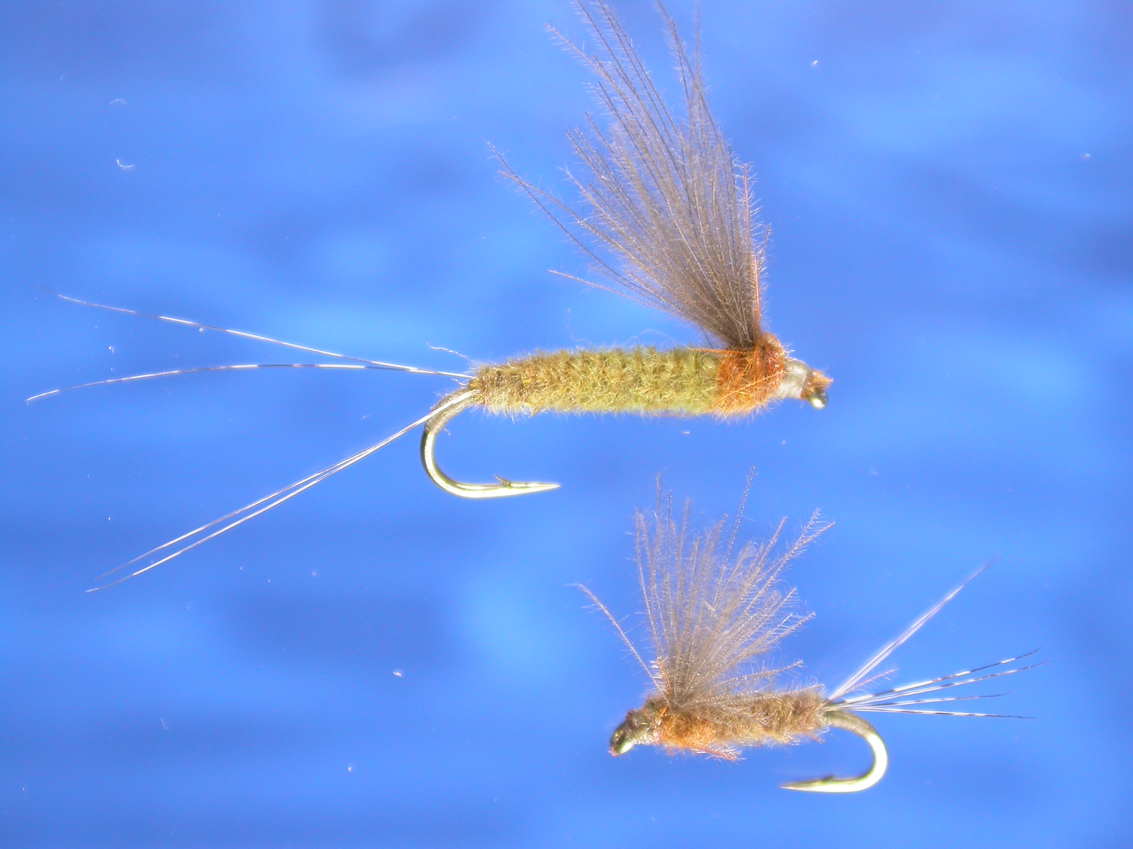 Adult Pink CDC Mayfly