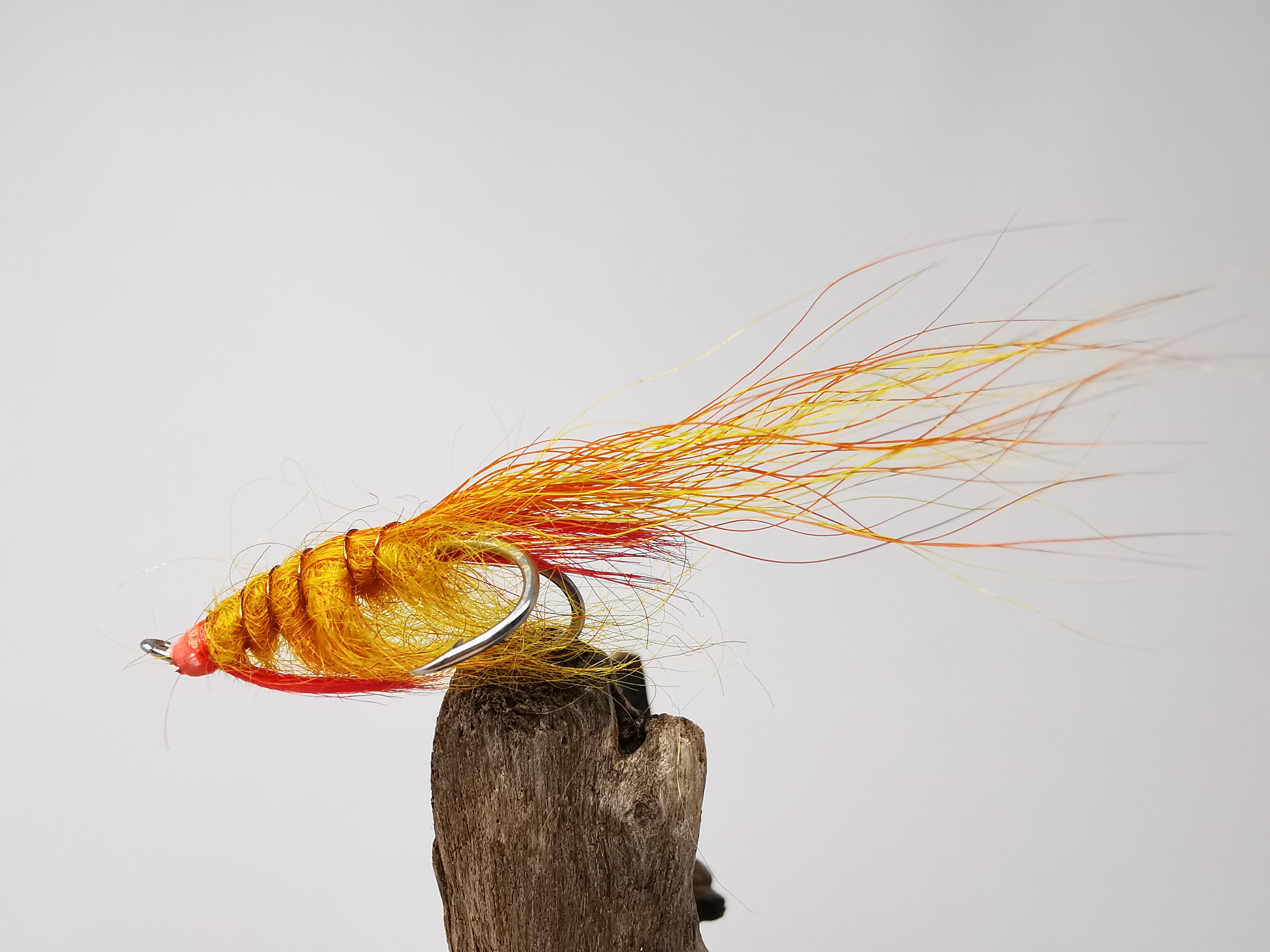 Polar Shrimp Orange and Yellow
