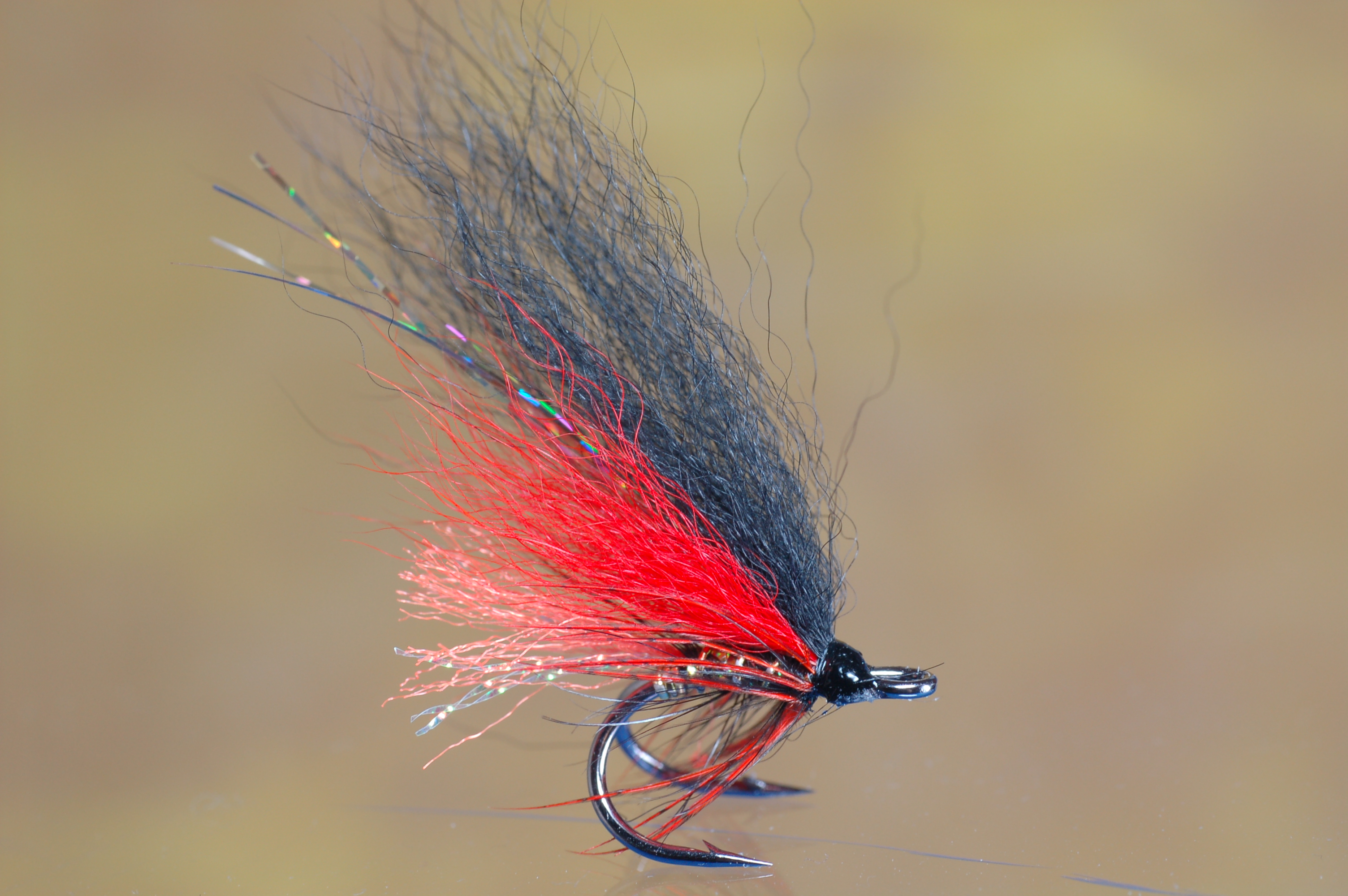 Temple Dog BMD