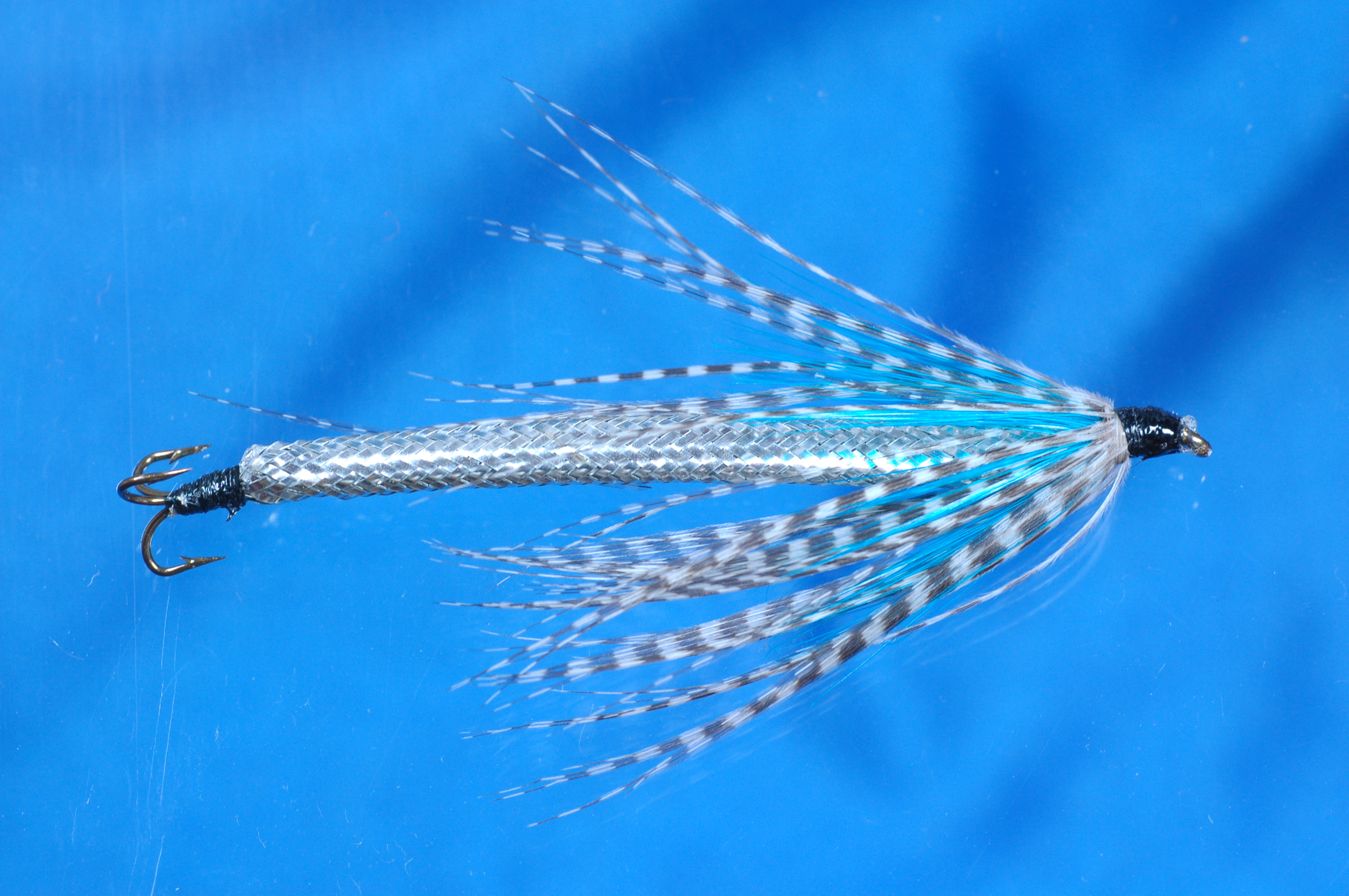 Snake Teal and Blue
