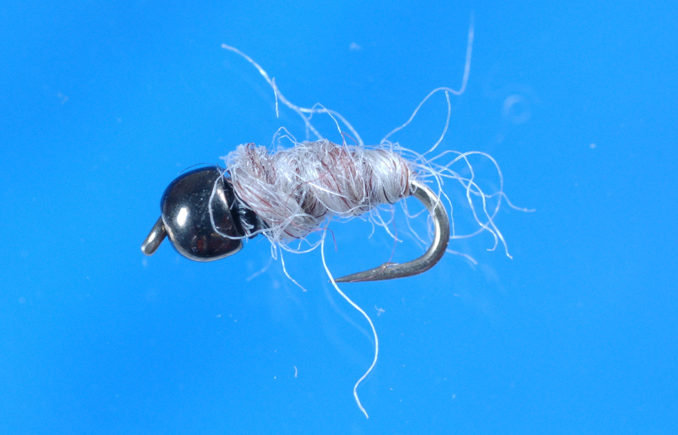 Killer Bug