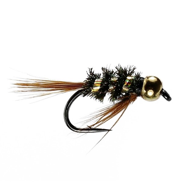 Gold Diawl Bach