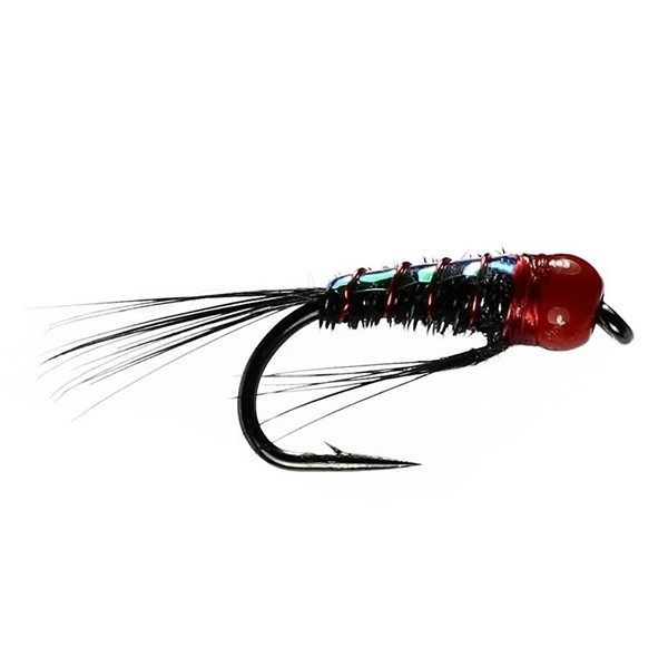 Red Diawl Bach