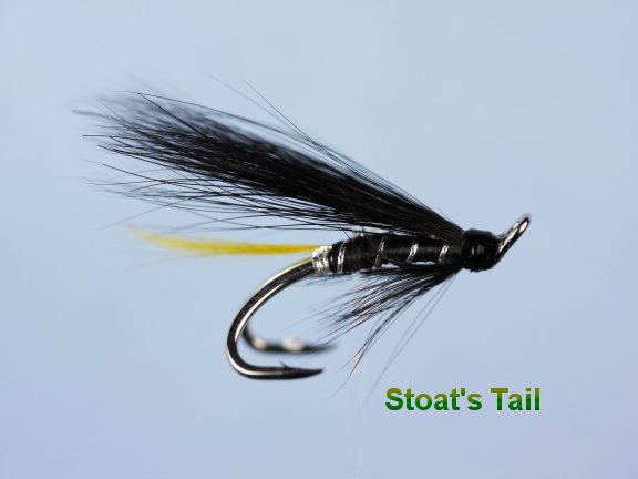 Stoats Tail