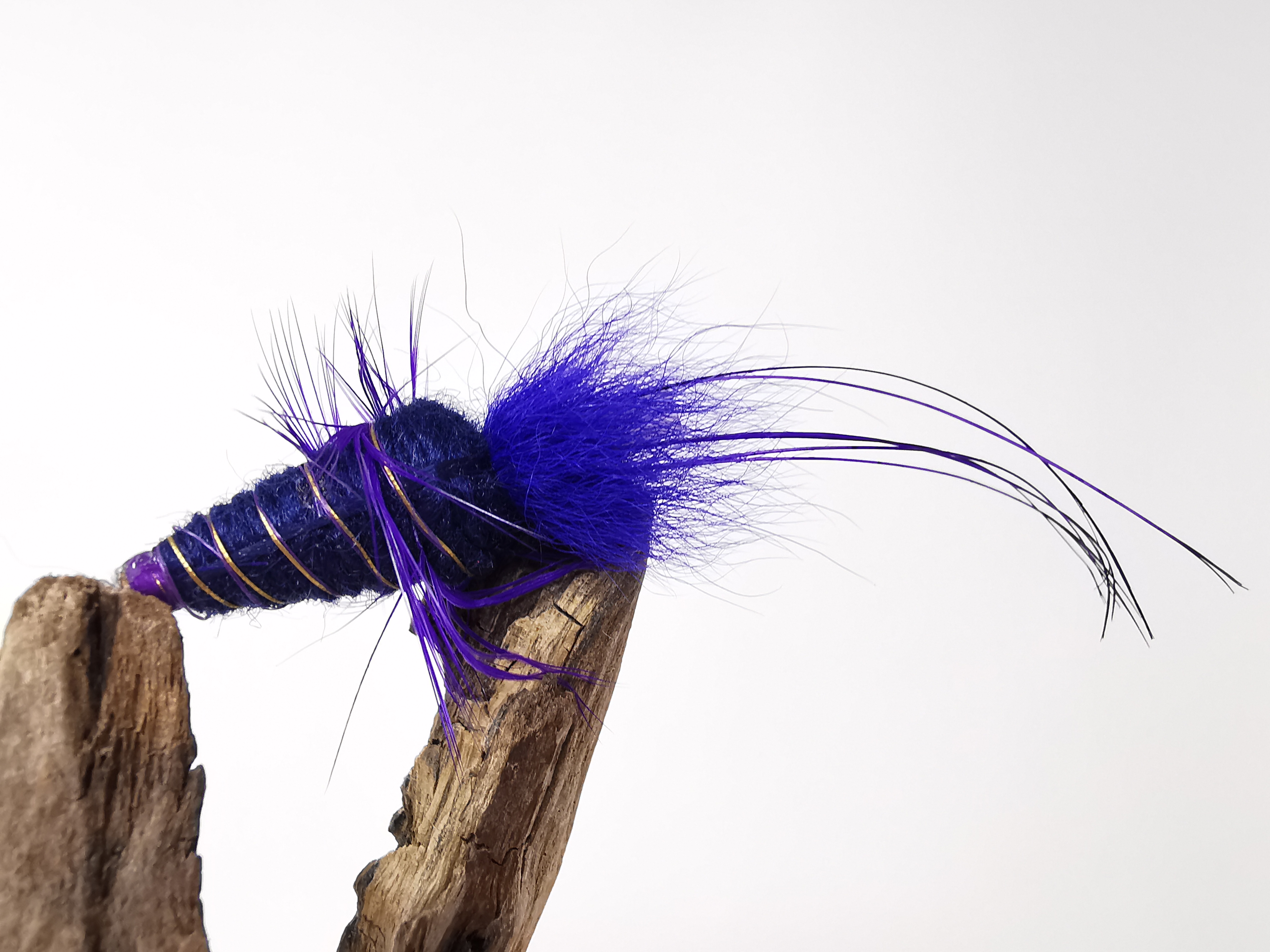 Purple Frances