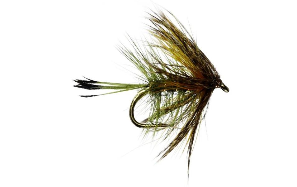 Sooty Olive Bumble