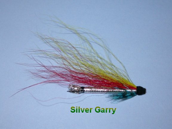Garry Silver Dog