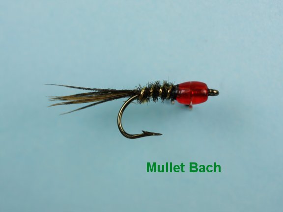 Mullet Bach