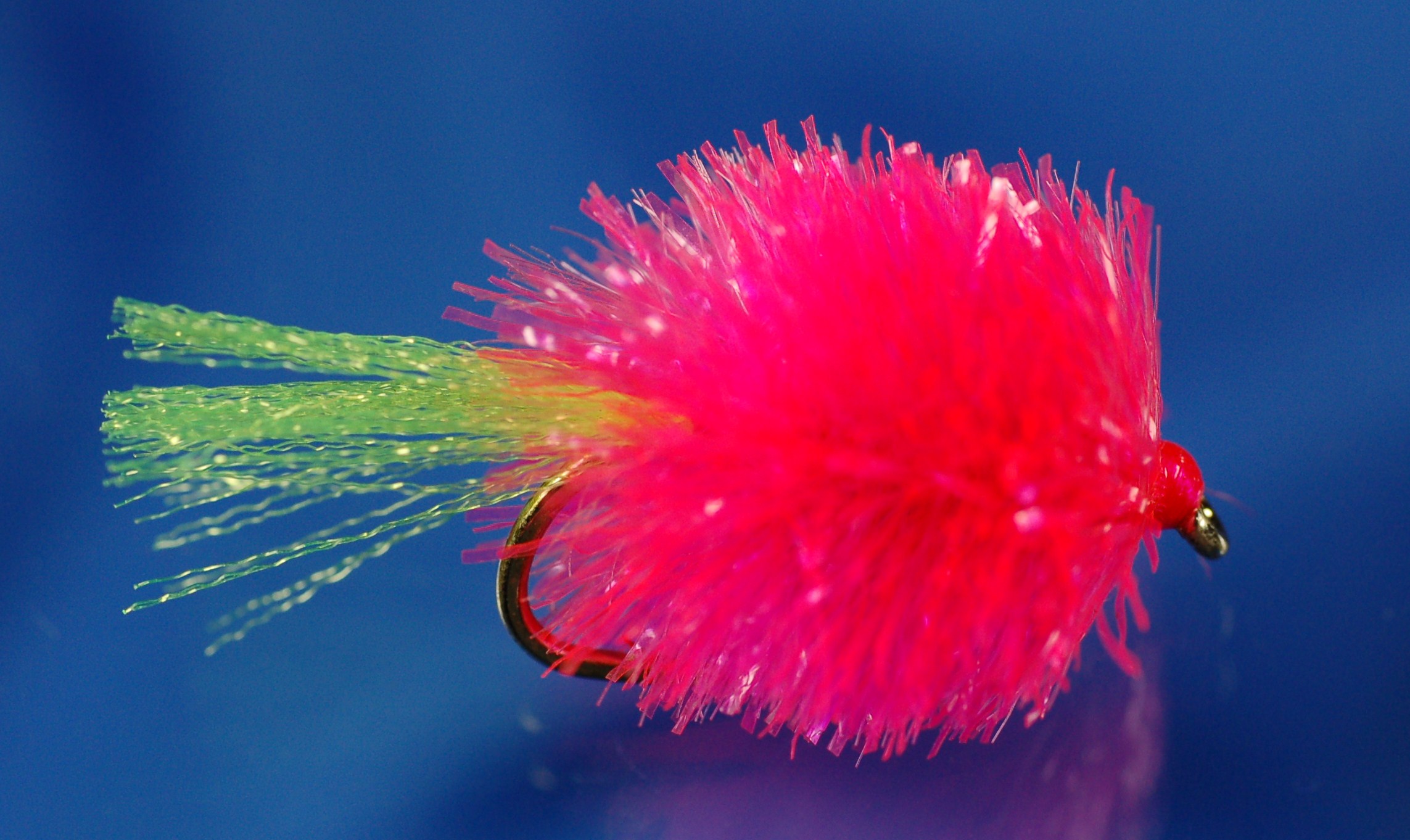 Pink Blob