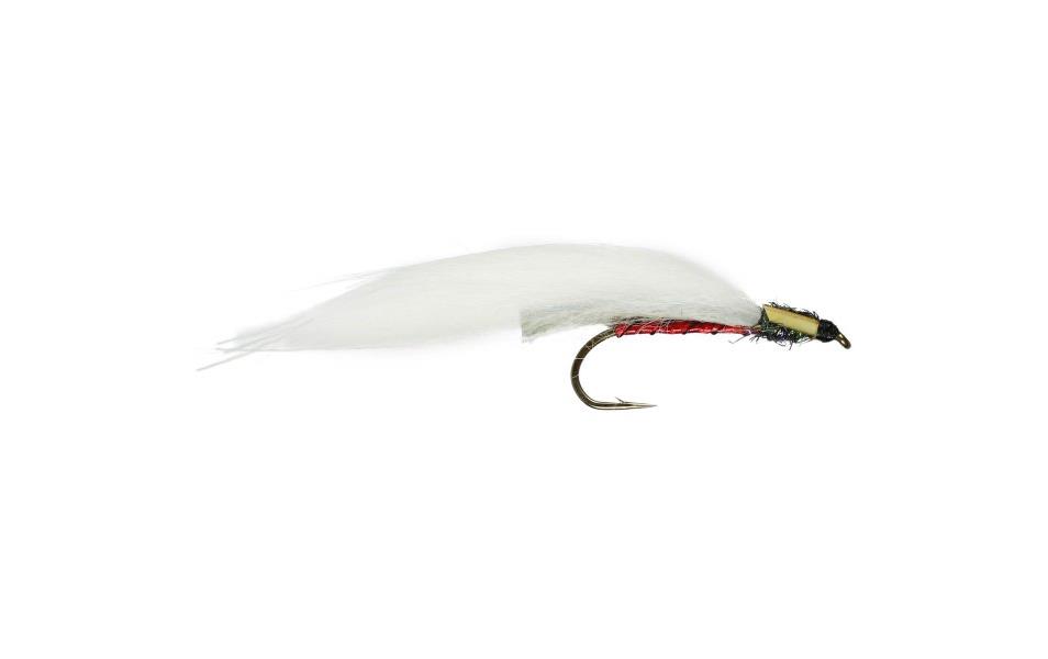 Red Belly Fry