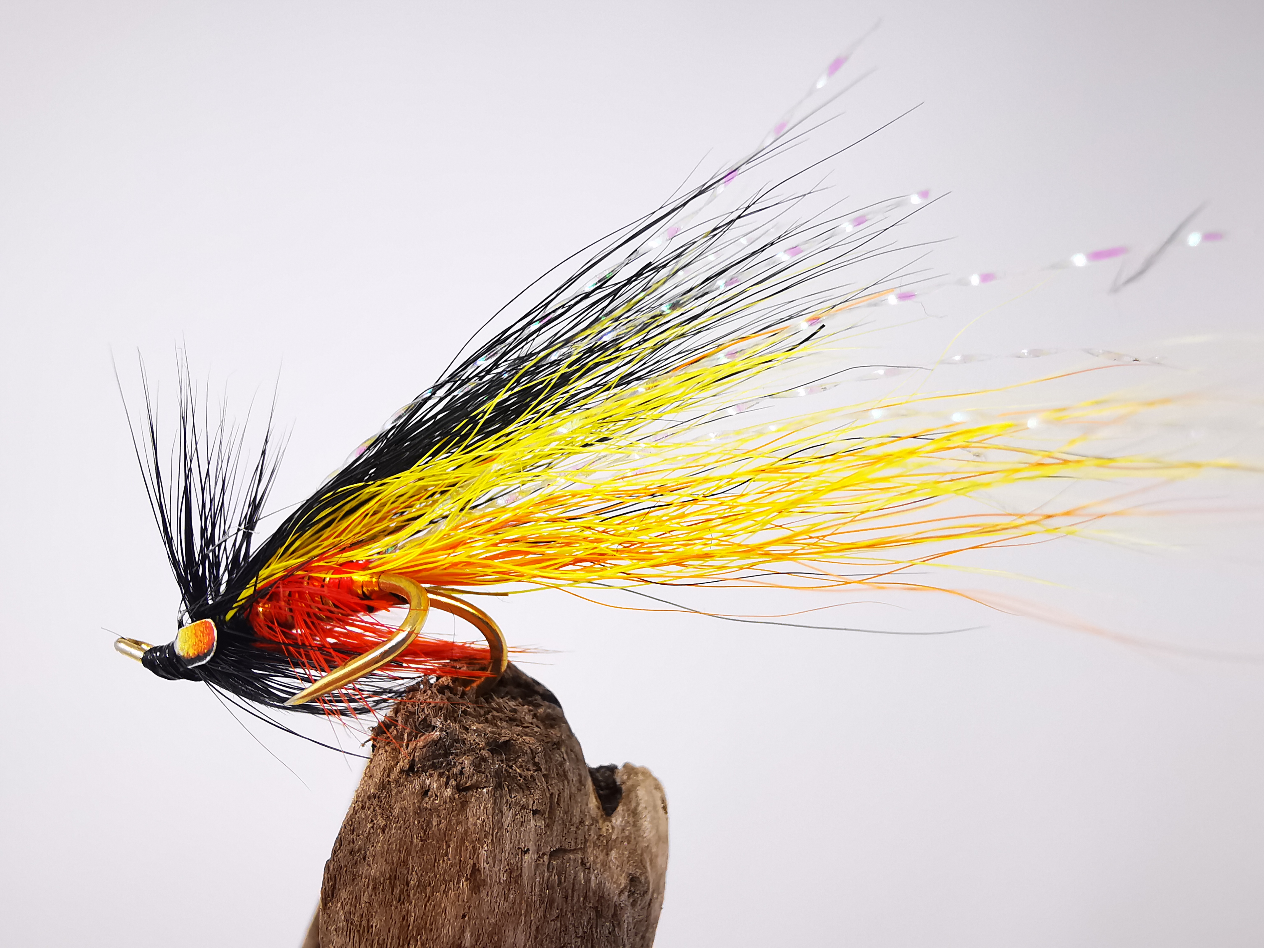 Stenton Shrimp