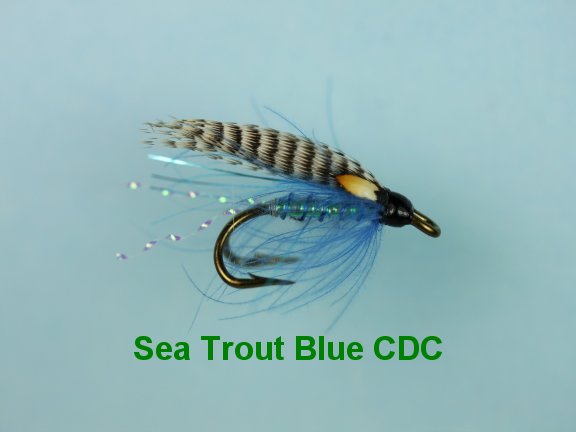 Blue CDC JC Double