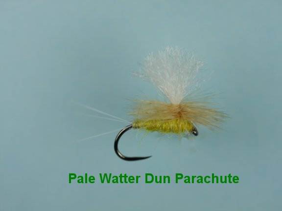 Parachute Pale Watery Dun