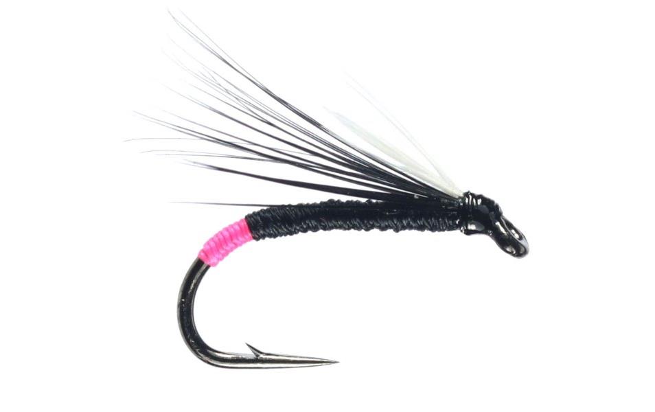 Midge Spider