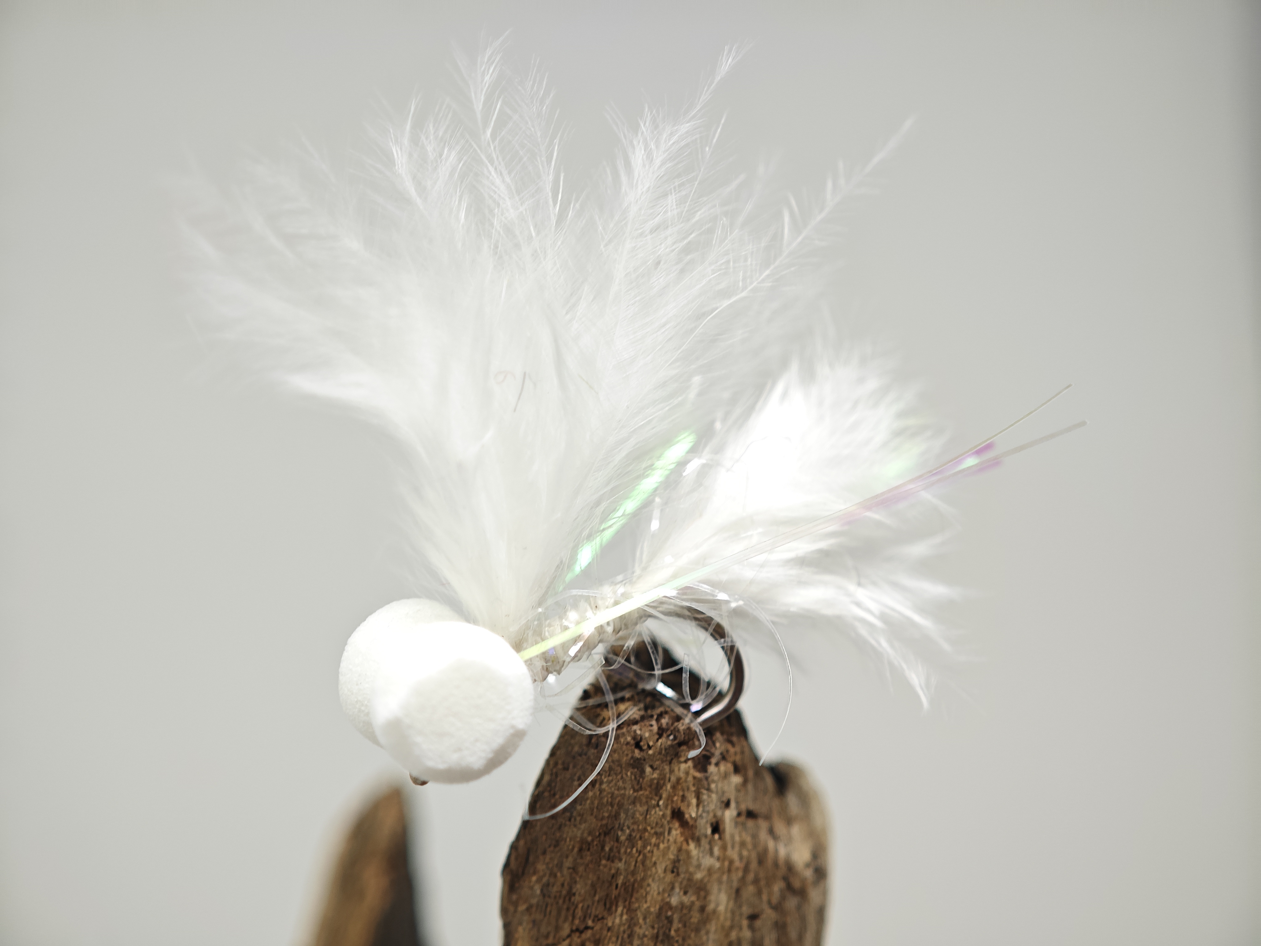 Pure White Booby