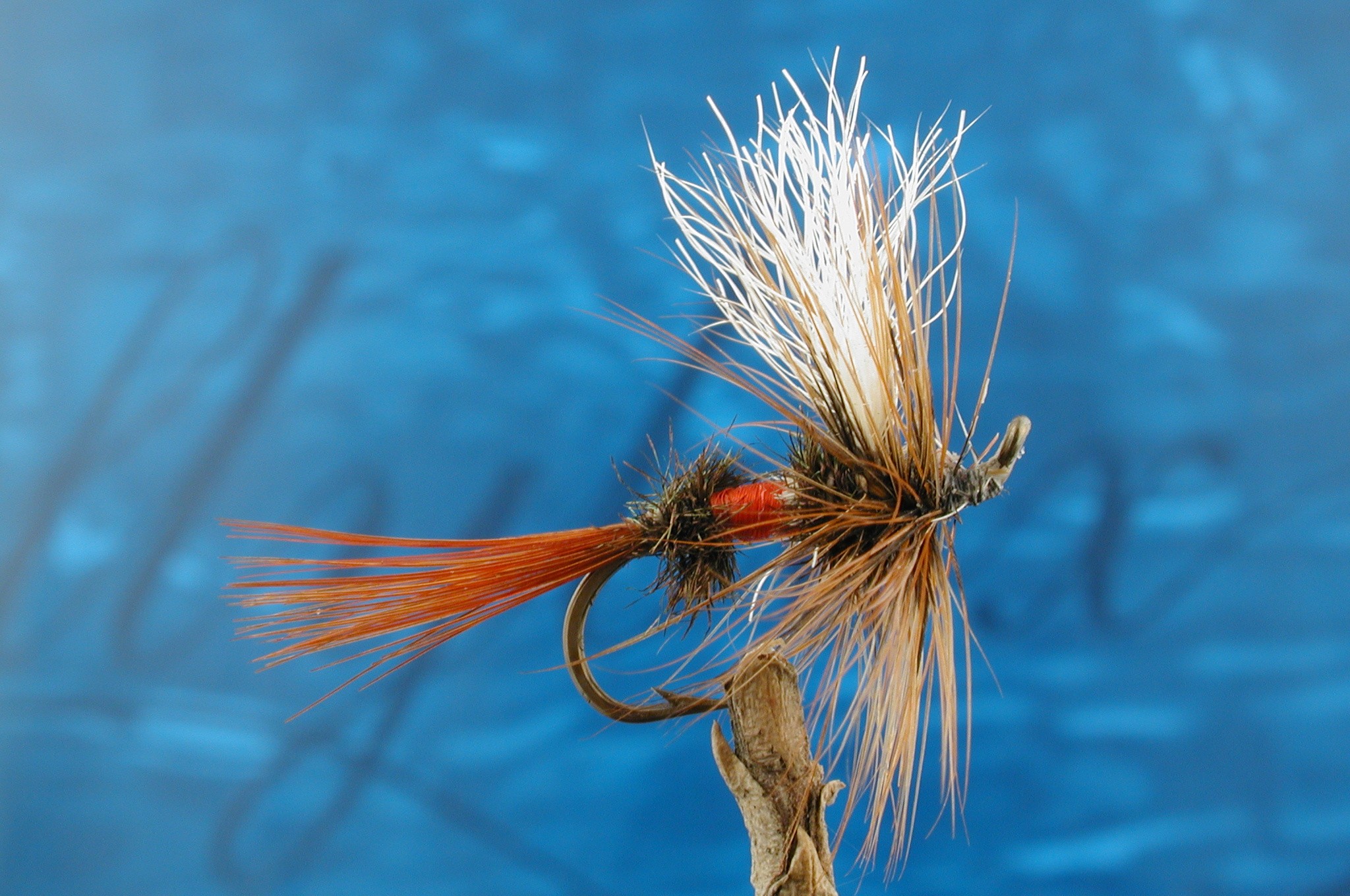 Hairwing Coachman