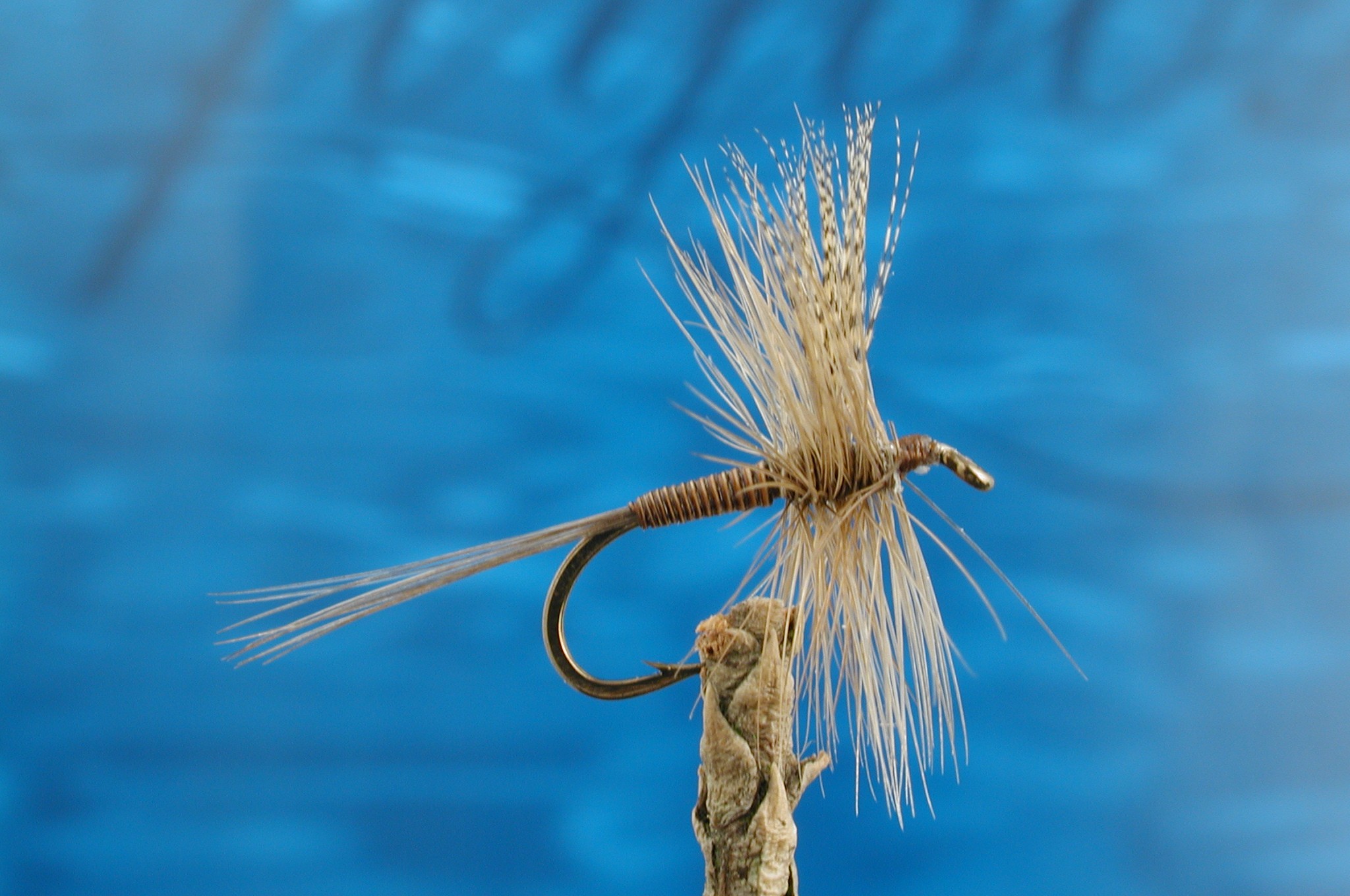 Red Quill