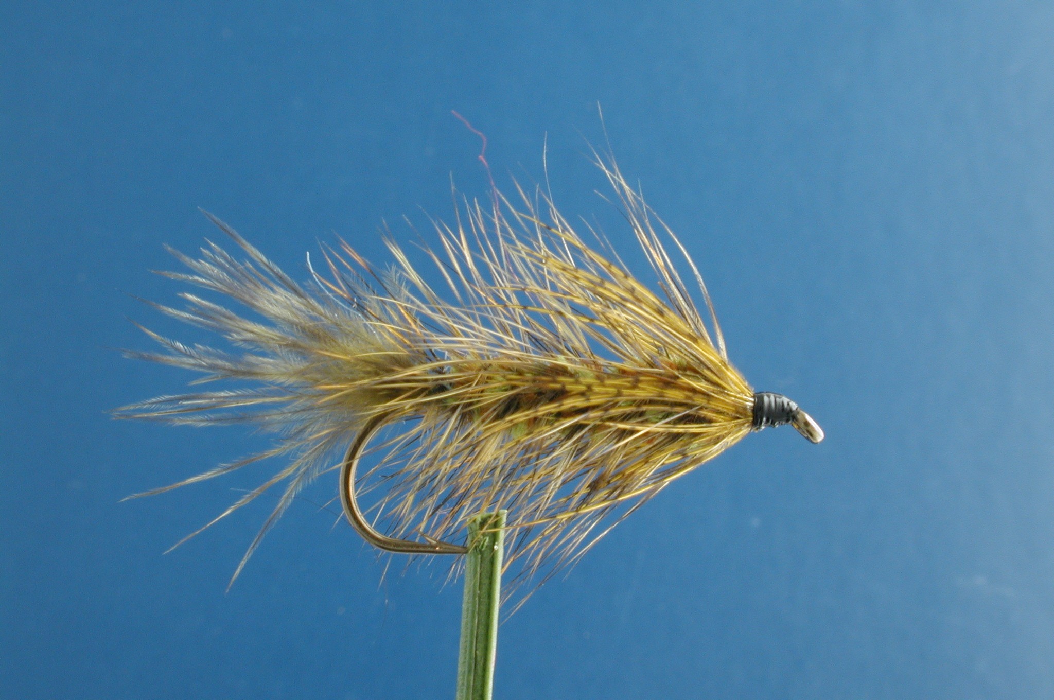 Woolly Bugger