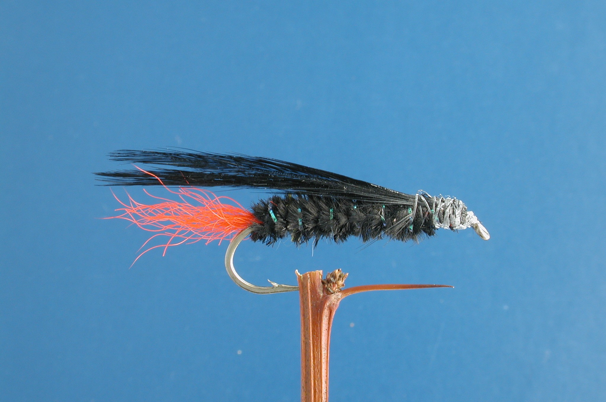 Hart Lake Vixen