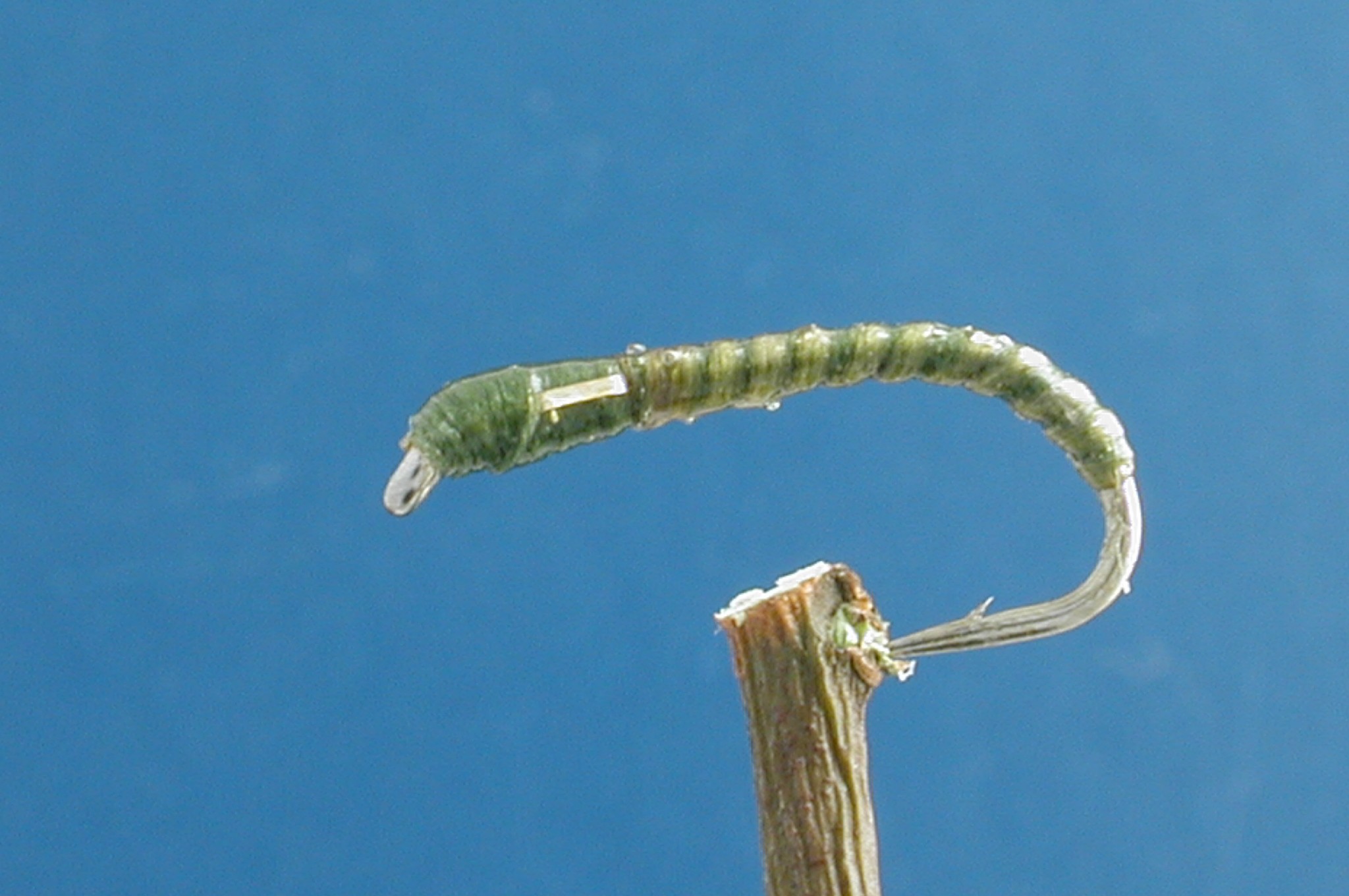 Green Flex Buzzer