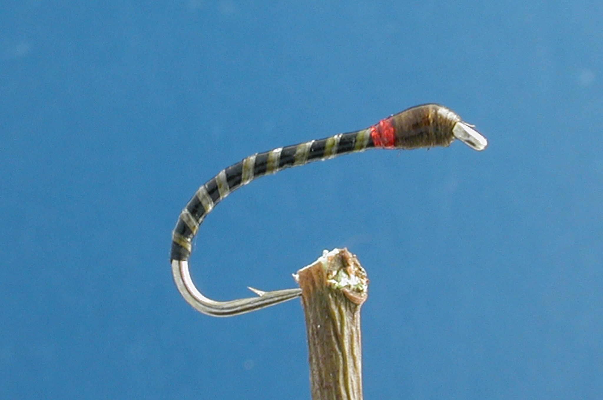 Dark Green Buzzer
