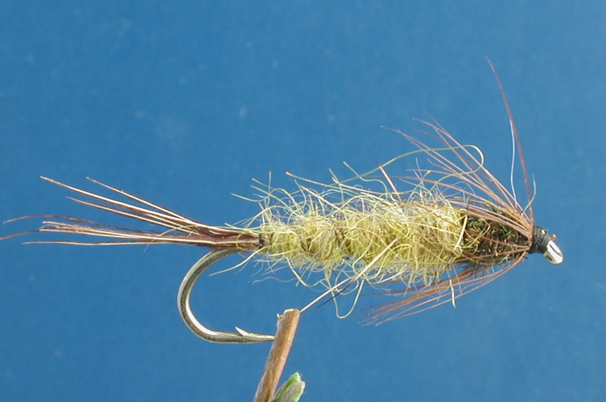 Stewarts Nymph
