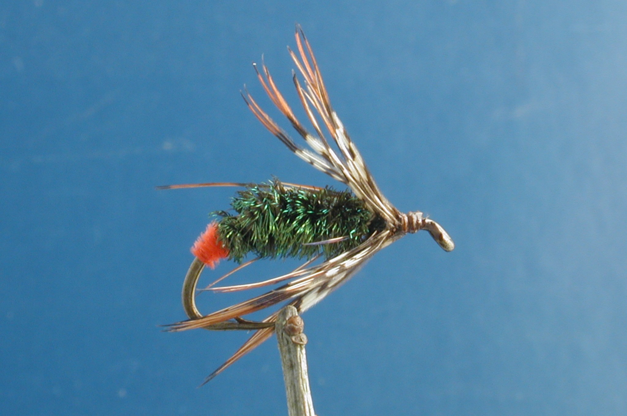 Shokawa Kebari 4