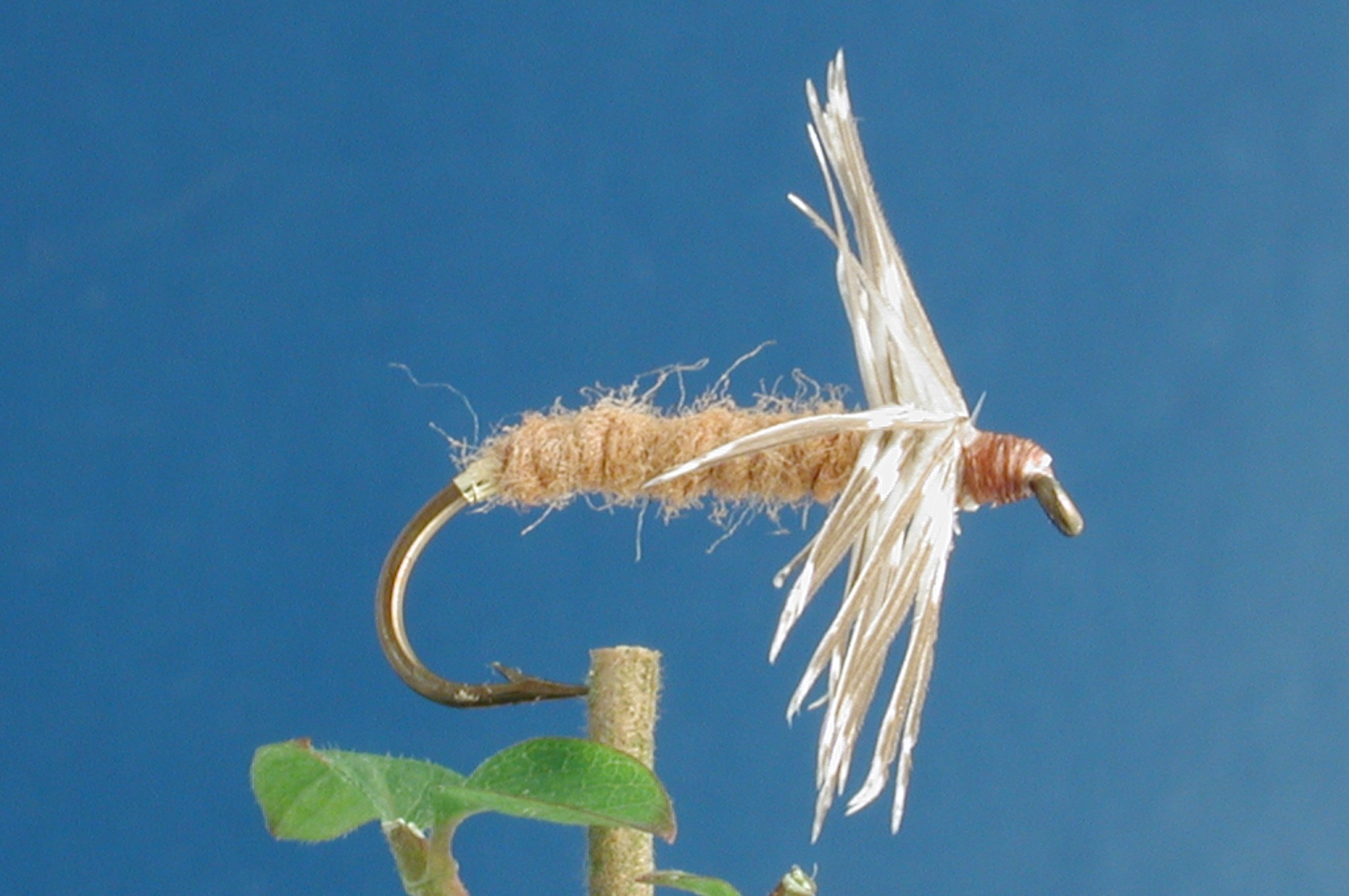 Tenkara 1