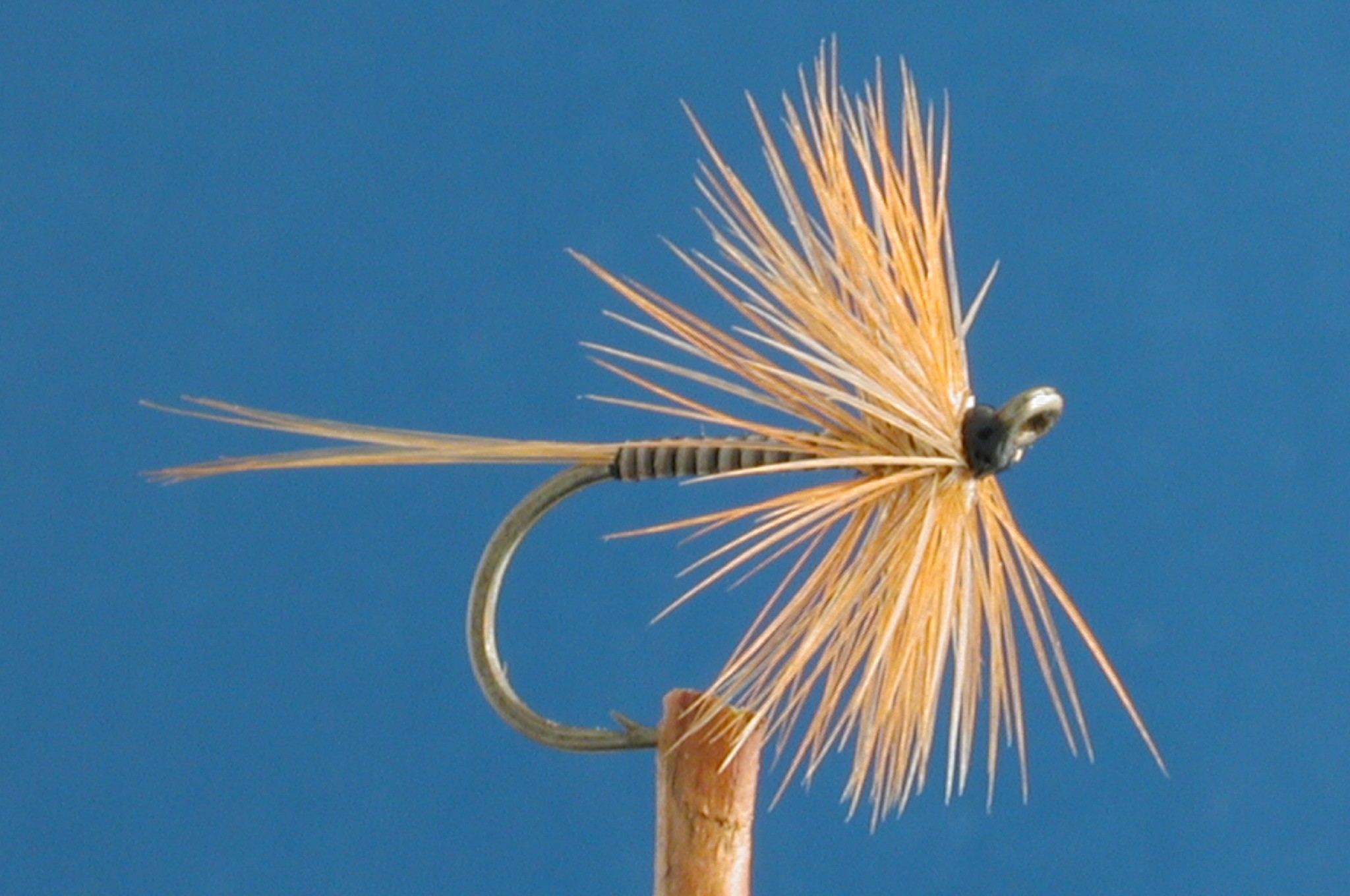 Ginger Quill Hackled
