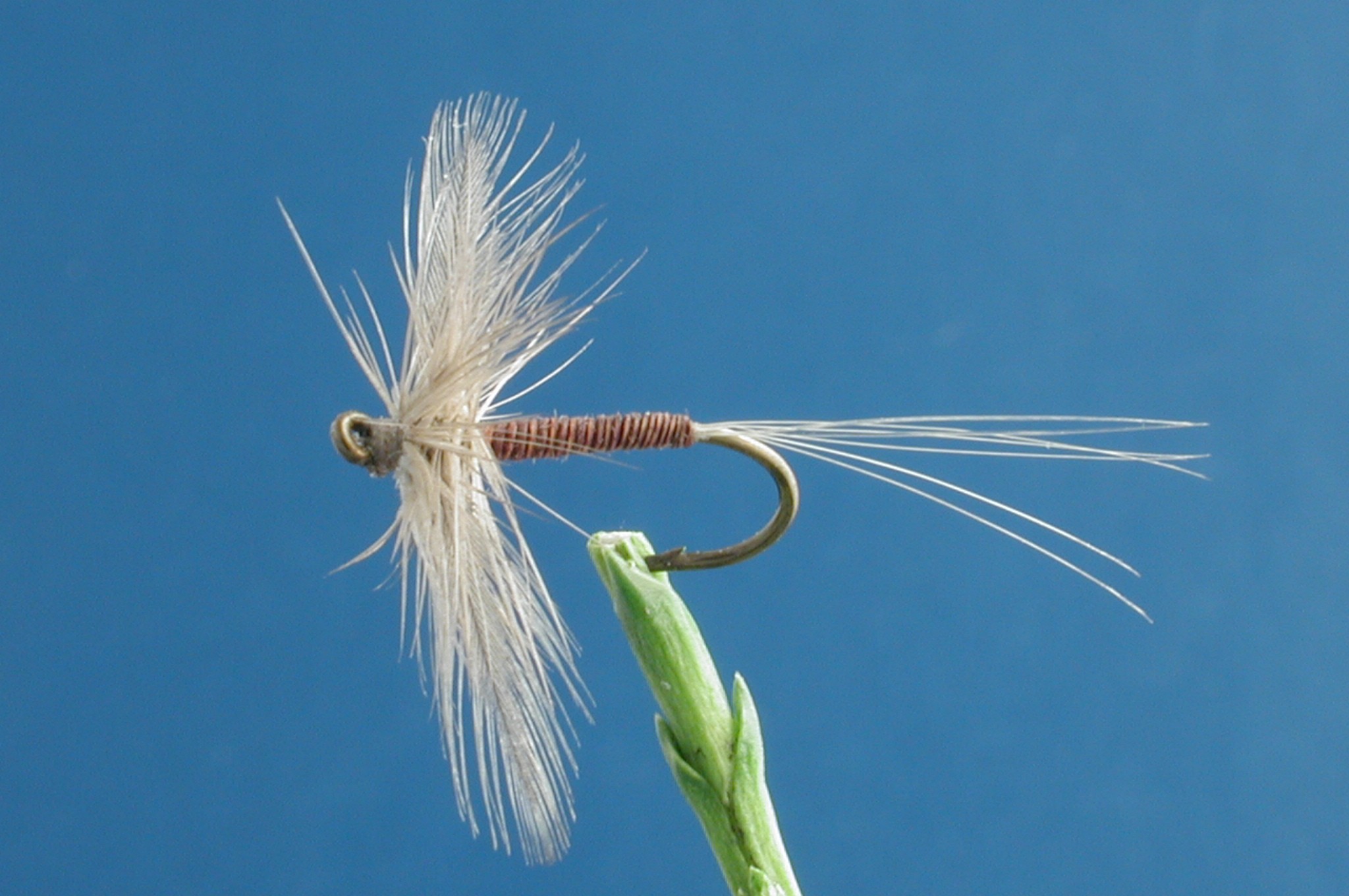 Iron Blue Spinner