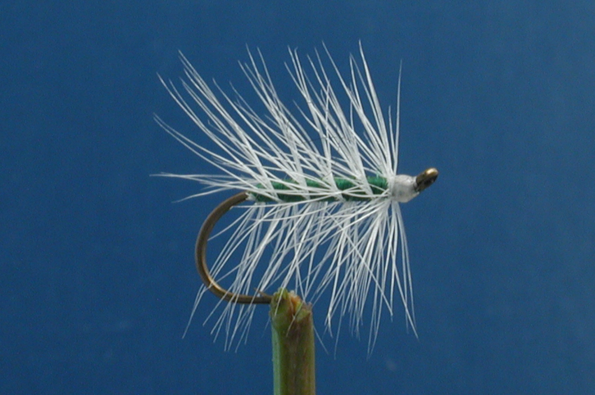 Arrow Fly