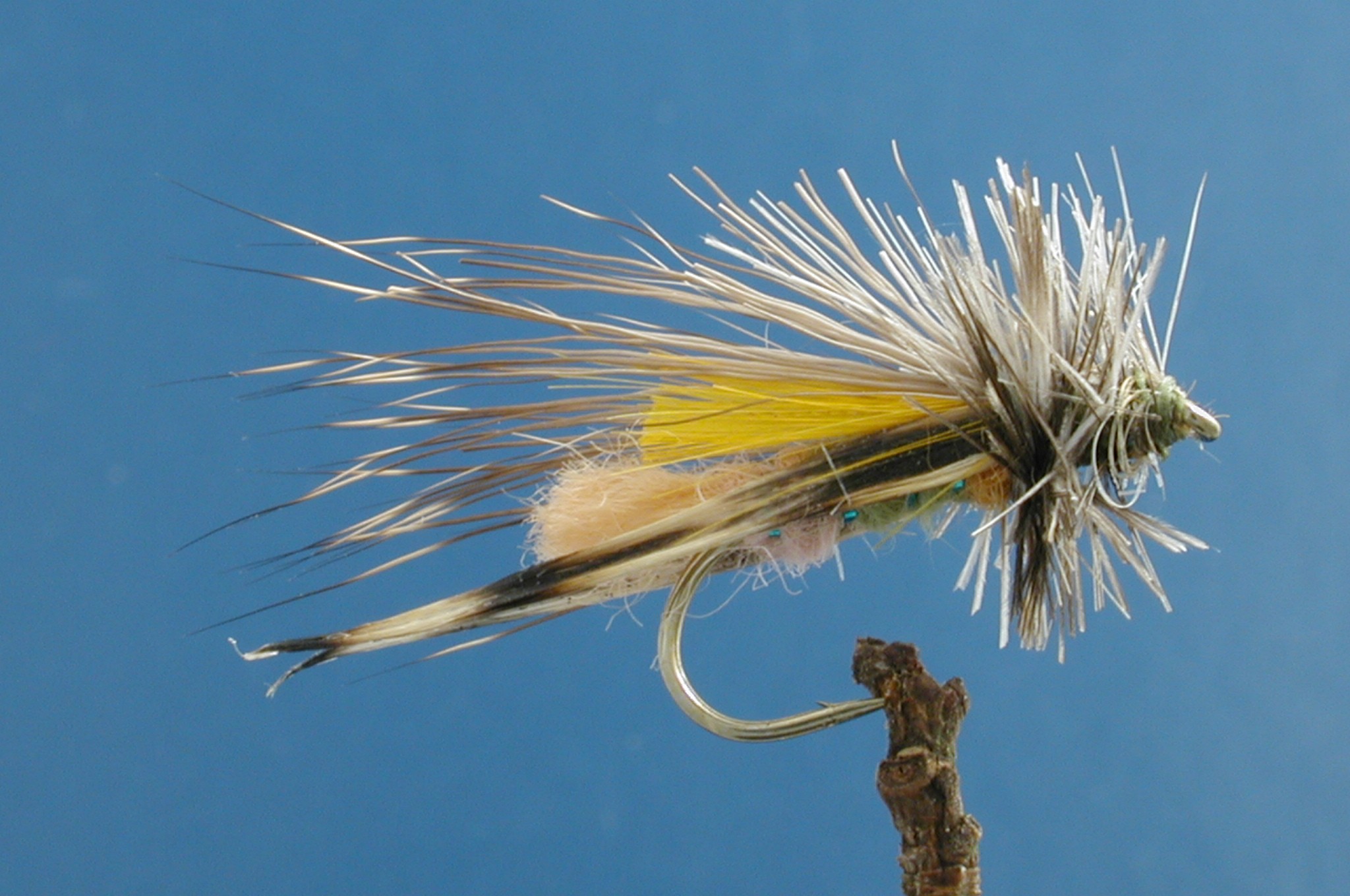 Grasshopper