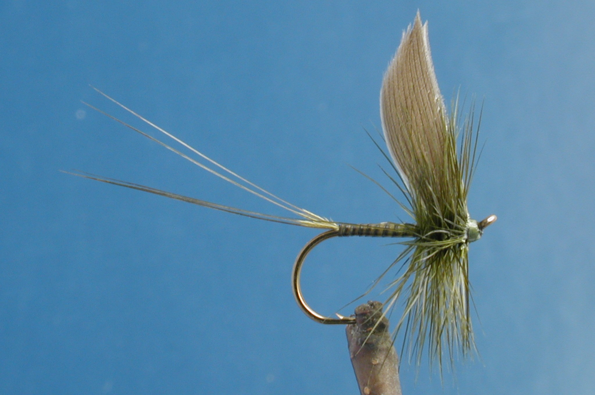 Dark Olive Quill
