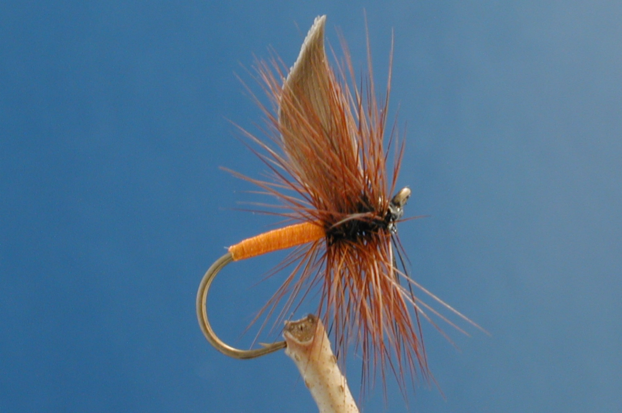 Orange Fly