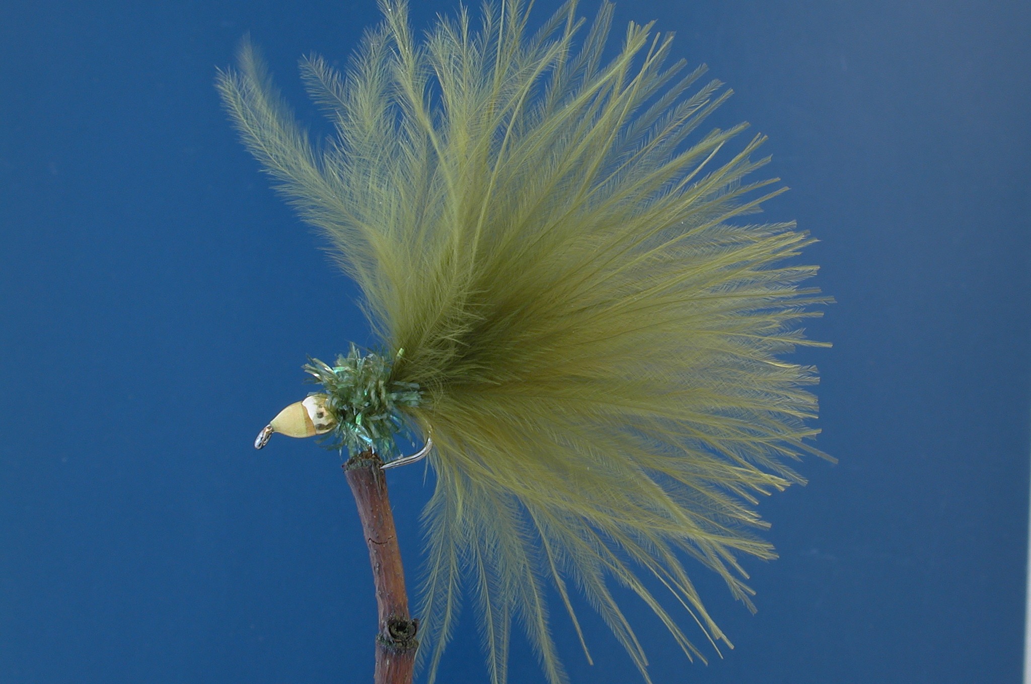 Olive Nomad