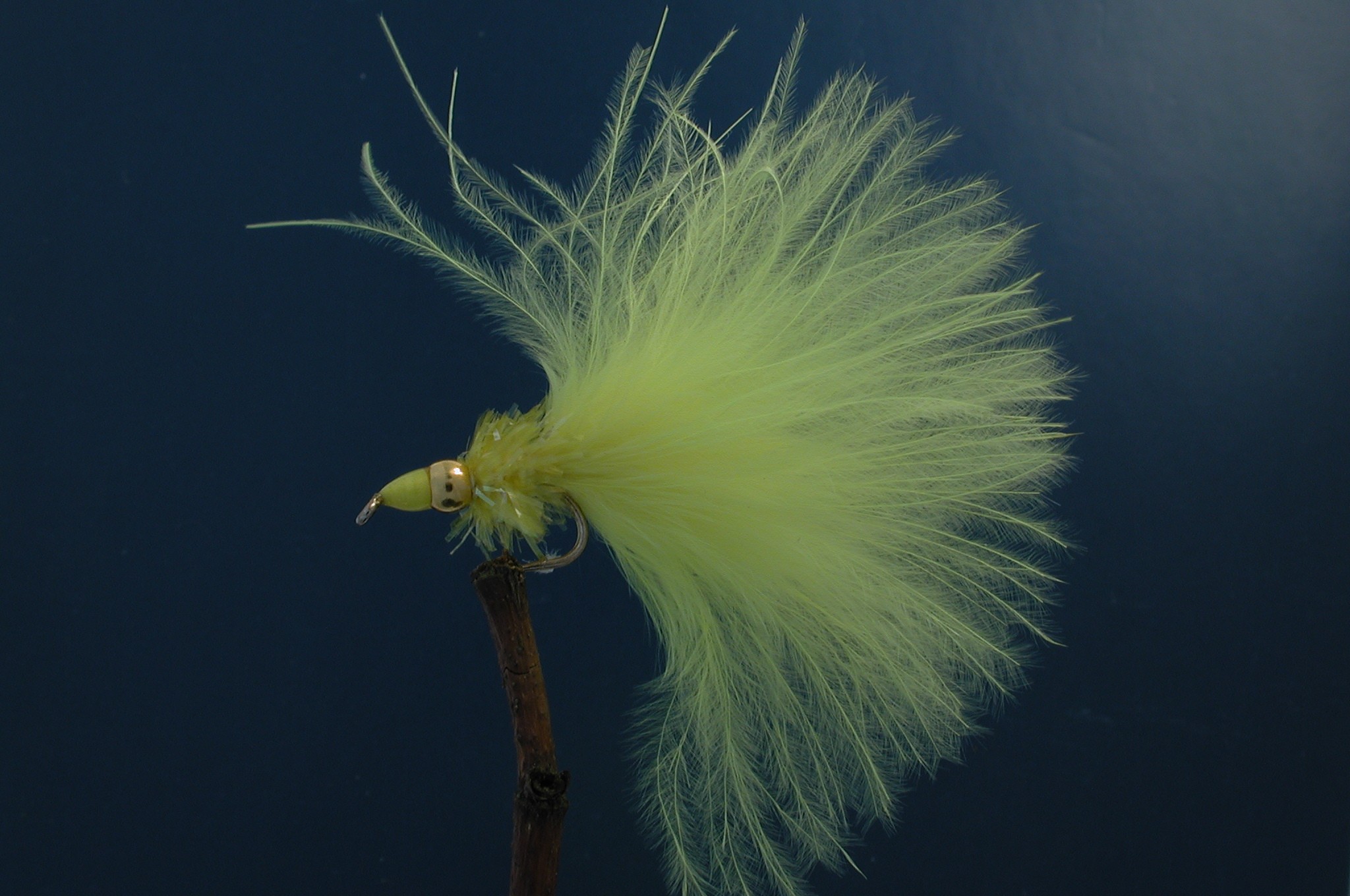 Yellow Nomad