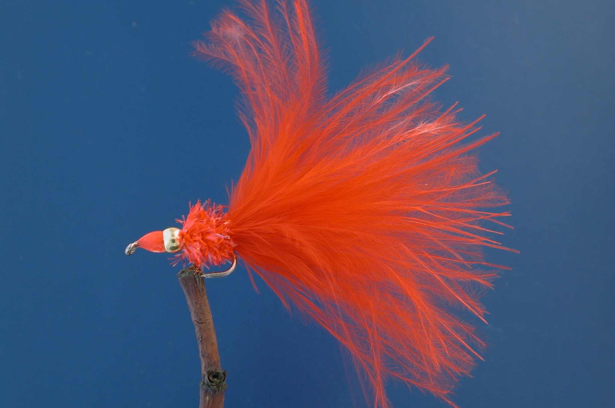 Red Nomad
