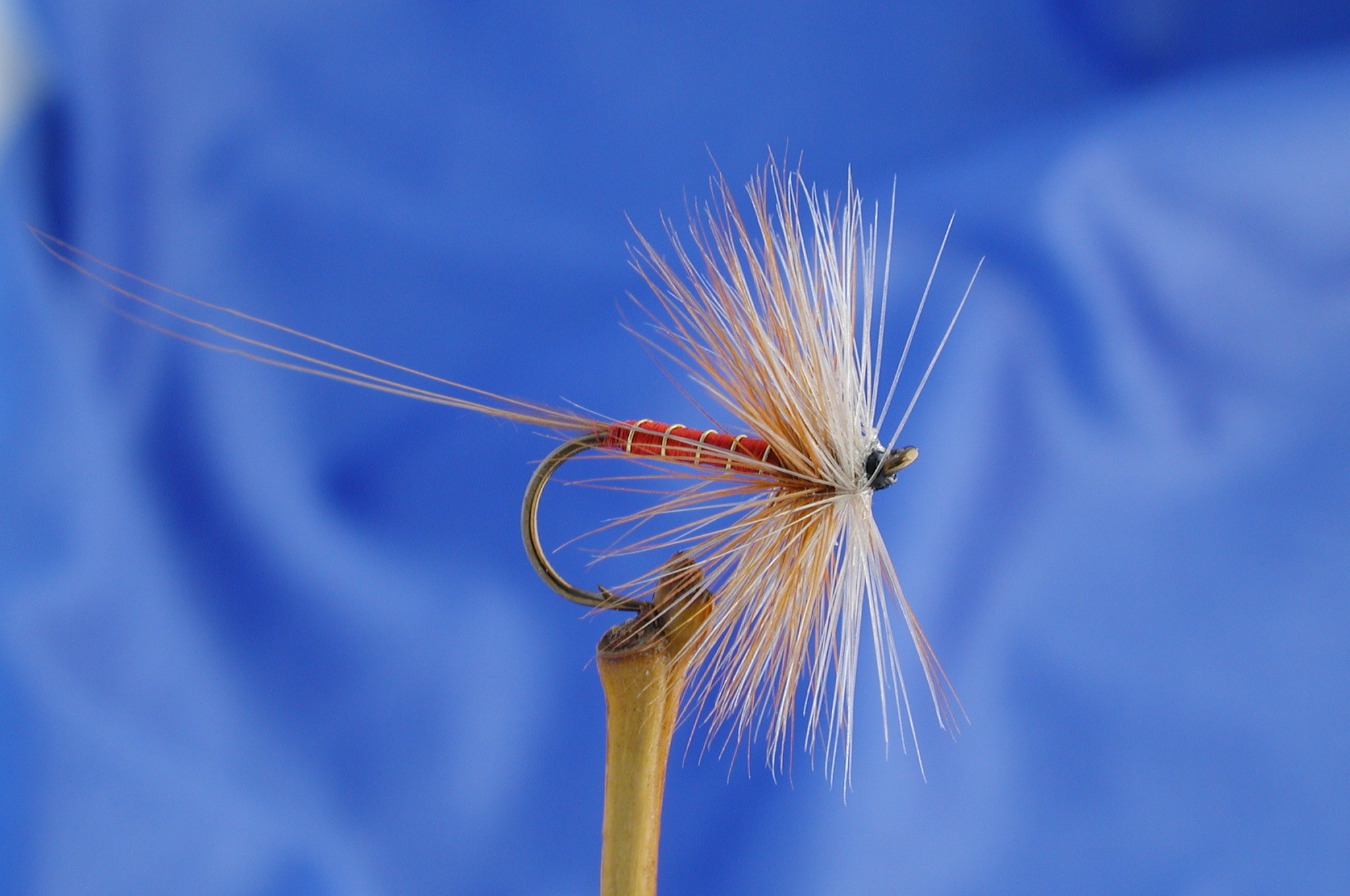 Red Spinner